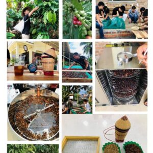 Tour Nhật – Việt