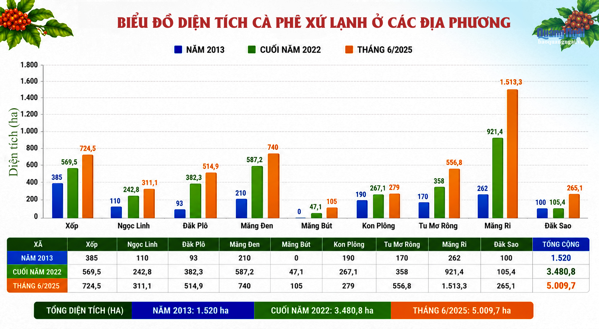 Biểu đồ diện tích cà phê xứ lạnh 9 xã phía Tây Quảng Ngãi giai đoạn 2013-2025, đạt hơn 5.000 ha
