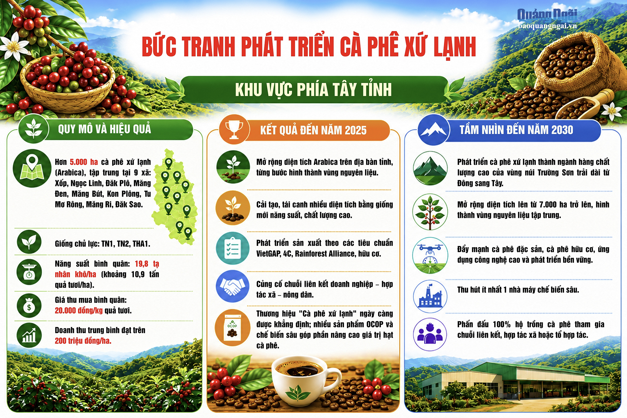 Bức tranh phát triển cà phê xứ lạnh khu vực phía Tây tỉnh Quảng Ngãi: quy mô, kết quả 2025 và tầm nhìn 2030