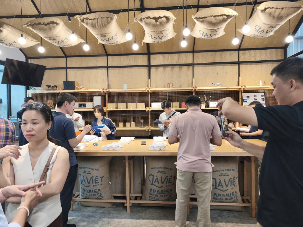 Chuyên gia Việt Nam và Nhật Bản cùng đánh giá mẫu cà phê Arabica