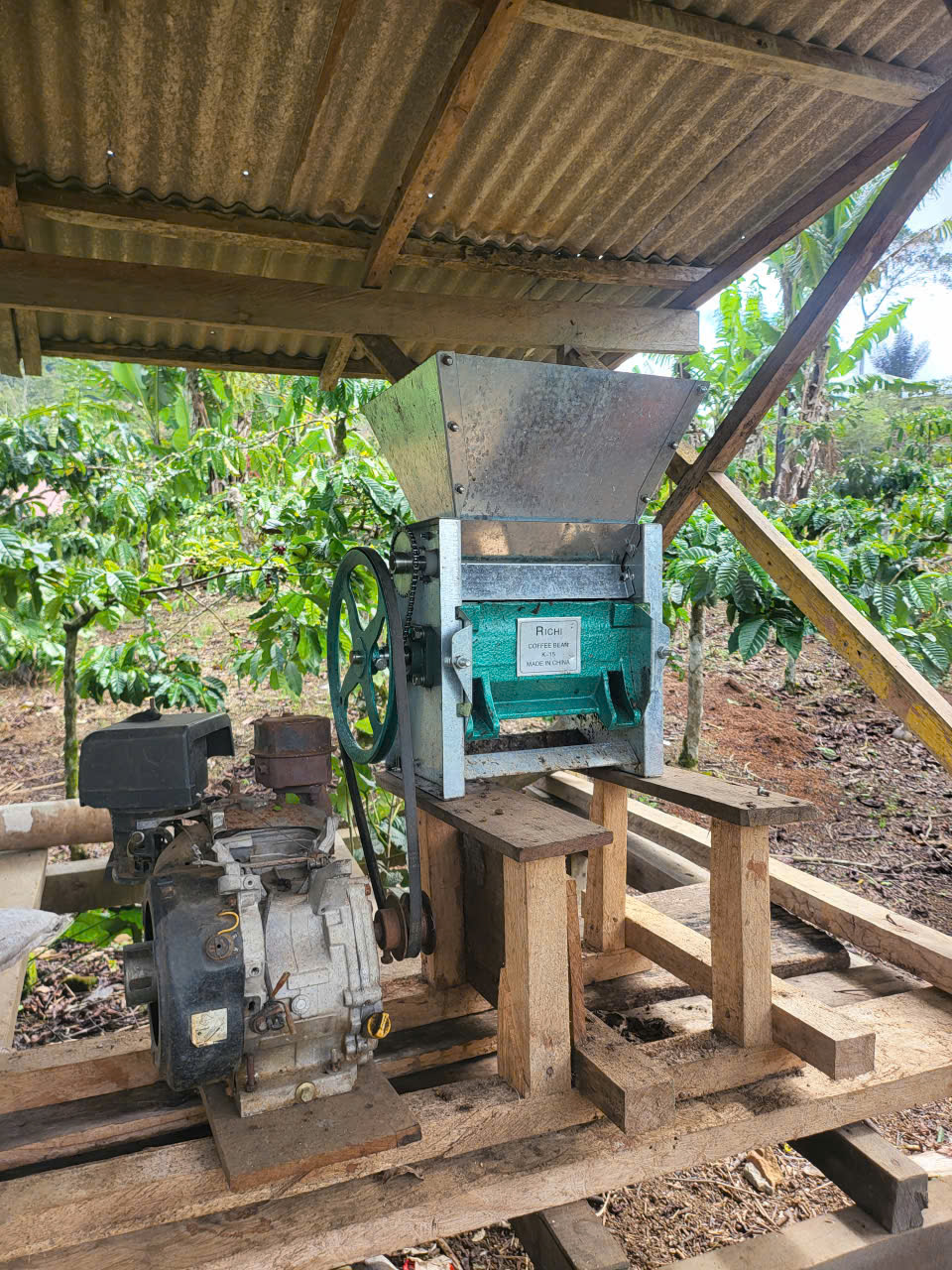 Đánh giá quy trình sơ chế cà phê tại Indonesia