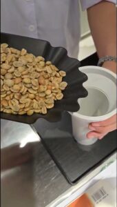 Đong mẫu cà phê nhân xanh sơ chế honey vào cốc đo trước khi đo ẩm độ tại Stone Village Lab