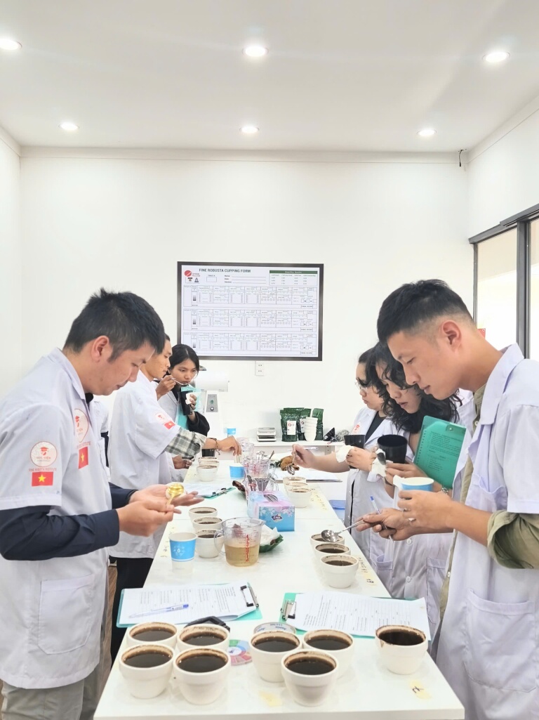 Đội kỹ thuật Fair Farm thực hành đánh giá chất lượng cà phê