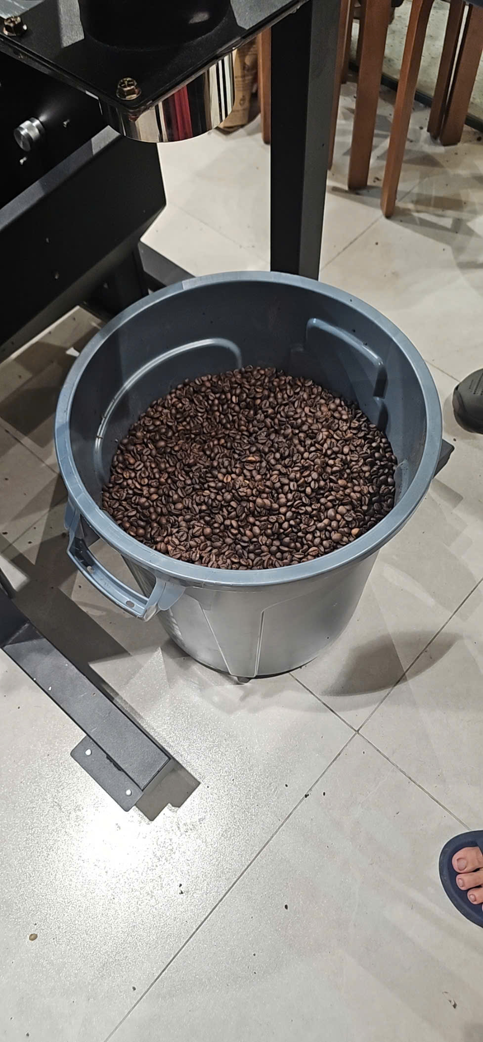 Xô hạt cà phê vừa rang xong đặt dưới khay làm nguội của máy rang tại xưởng đối tác