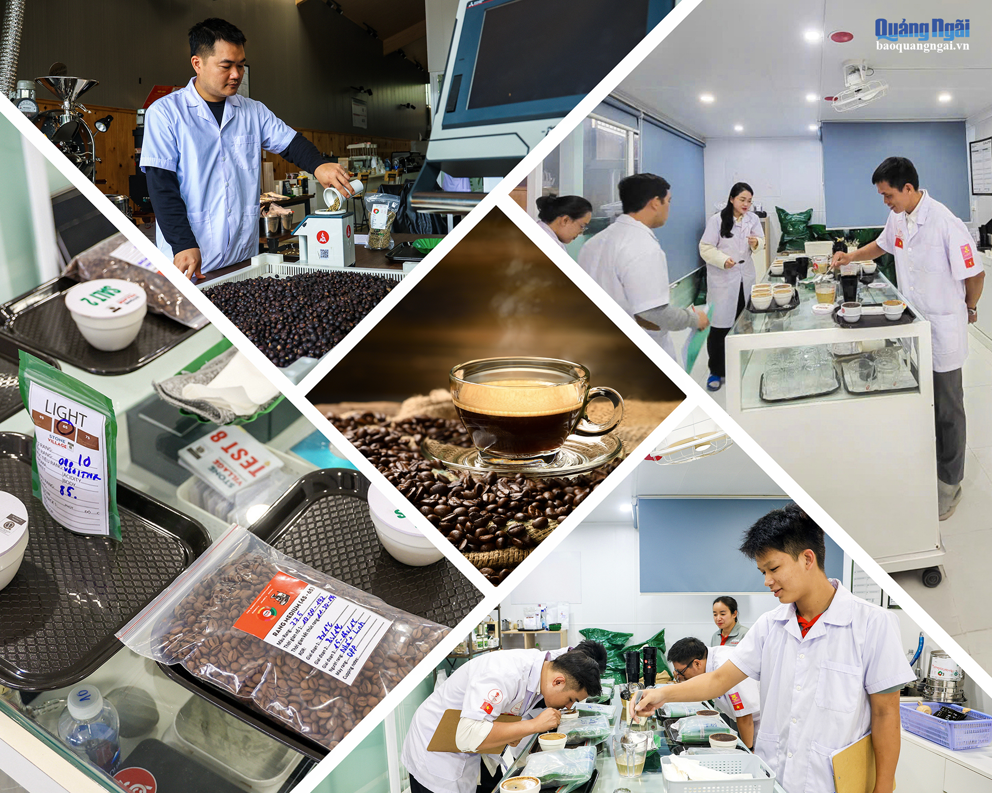Lab rang và cupping cà phê Arabica Măng Đen tại Stone Village theo chuẩn SCA