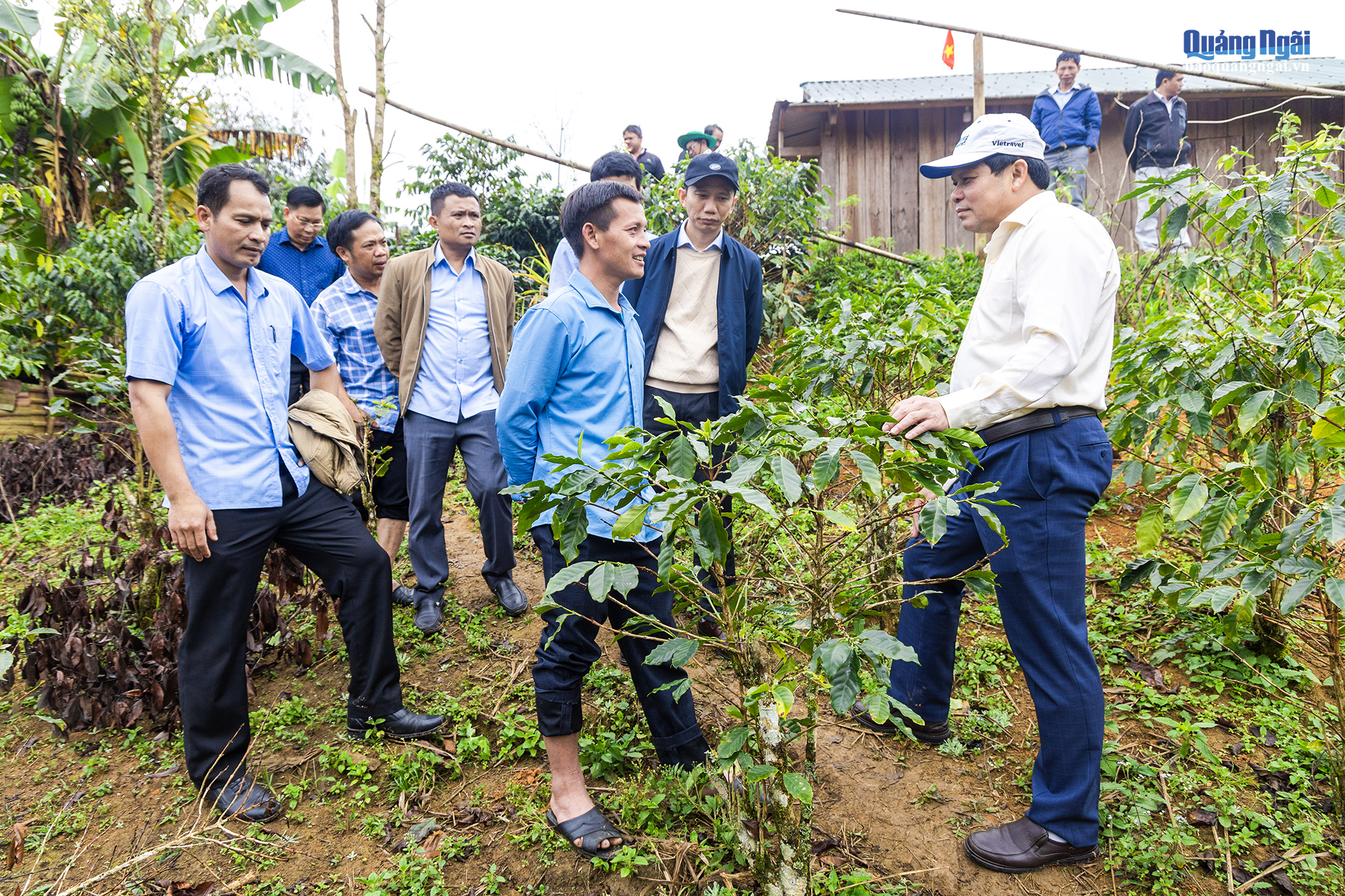 Lãnh đạo tỉnh thăm vườn cà phê Arabica đặc sản tại vùng trồng Măng Đen