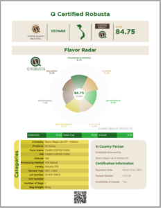 Chứng nhận Q Certified Robusta (CQI) của Mr. Quang (Tamba), Gia Lai, do Stone Village Lab ICP Vietnam chấm