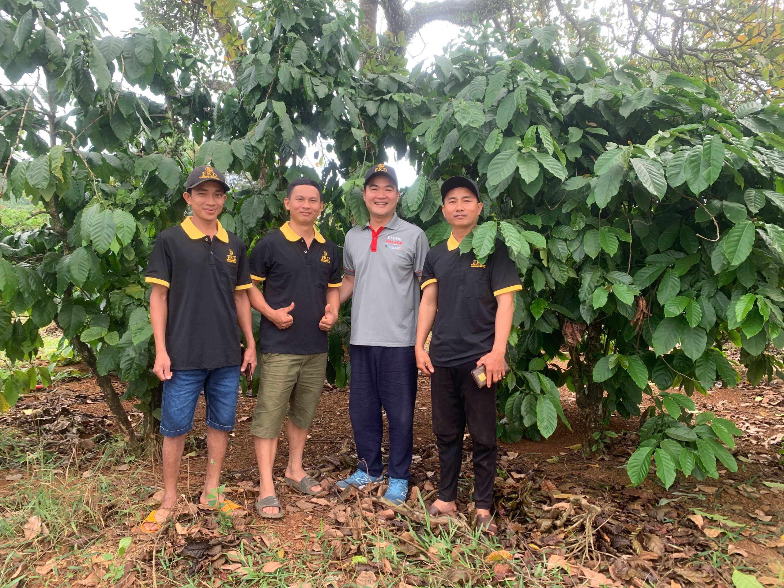 Đoàn Stone Village Lab chụp cùng đội ngũ FRD tại vườn cà phê robusta Đắk R'Lấp