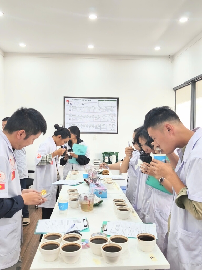 Lớp học viên đông người thực hành cupping quanh bàn mẫu tại Stone Village Coffee Lab