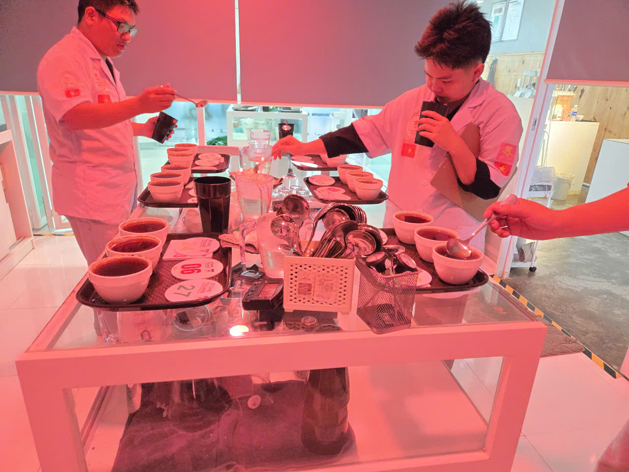 Cupping kiểm định chất lượng mẻ rang dưới ánh đèn đỏ tại phòng lab Stone Village
