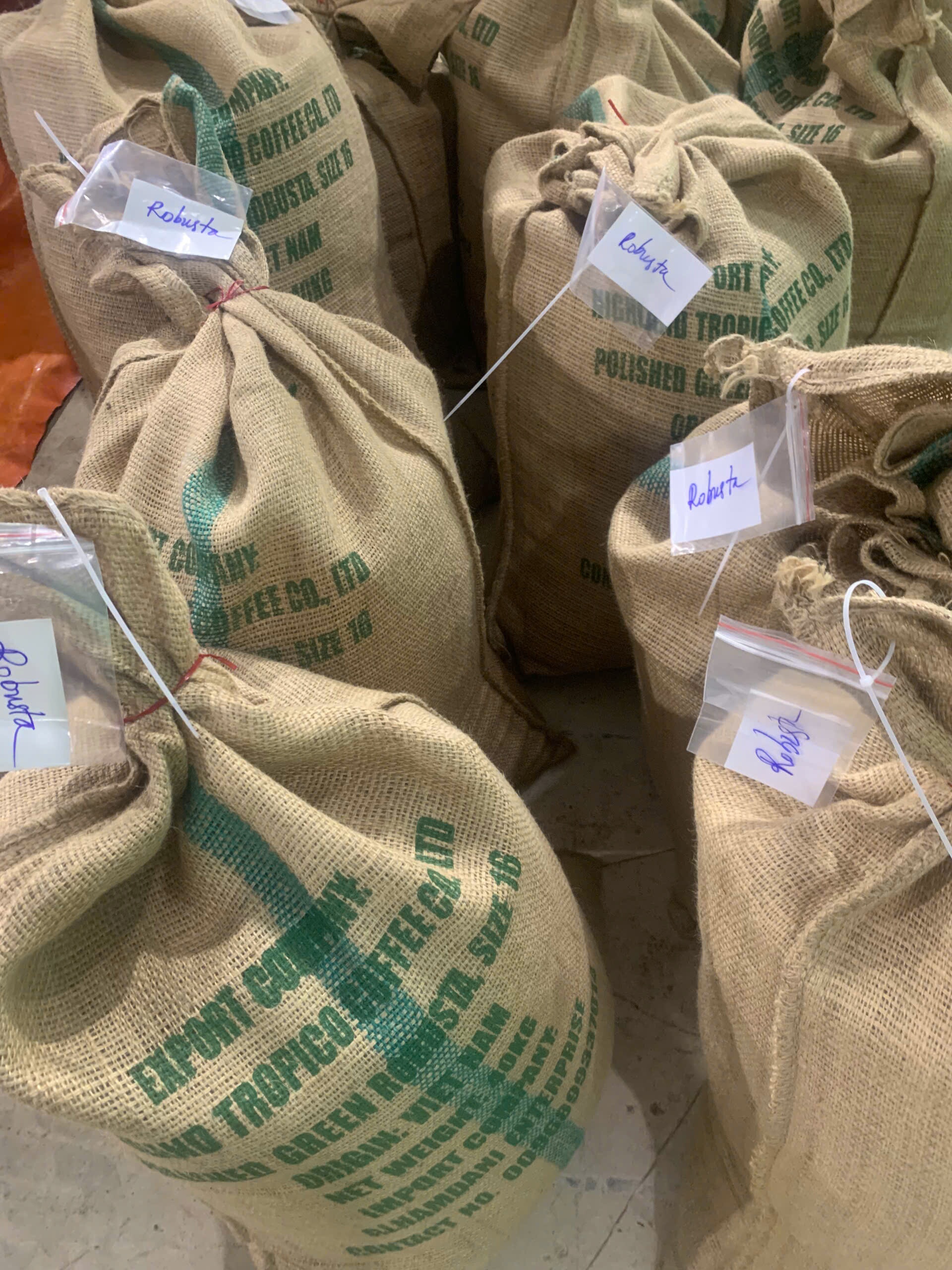 Bao ca phe nhan dan nhan viet tay Robusta de tach lo