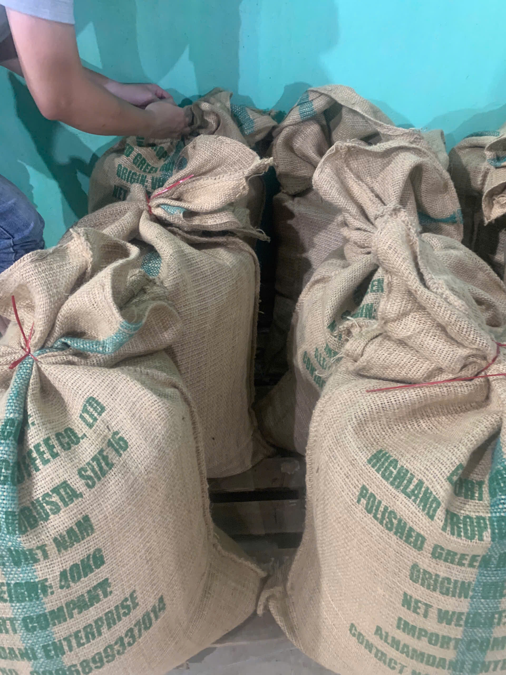 Bao day dung ca phe nhan Robusta size 16 buoc mieng bang day