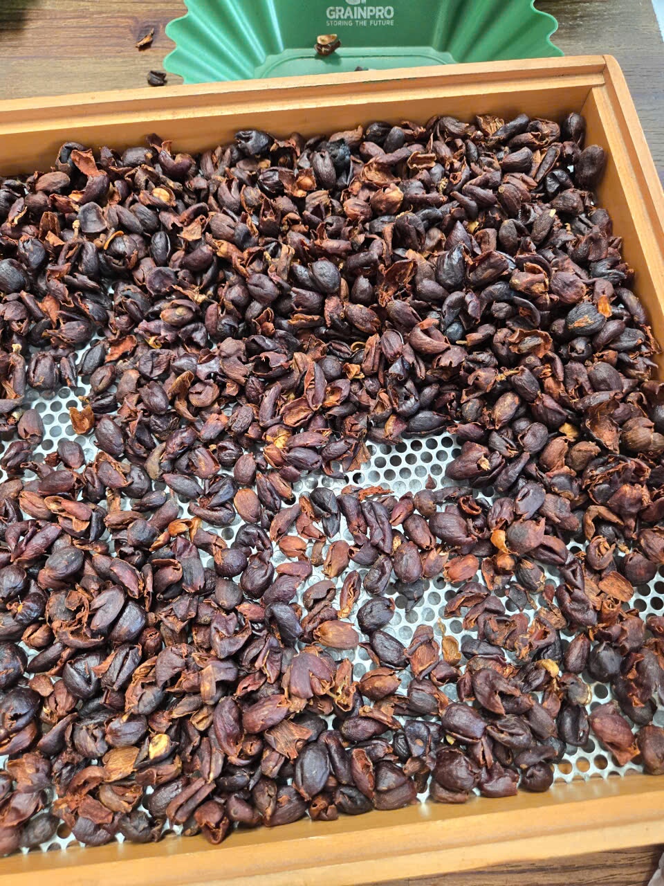 Cascara vo qua ca phe phoi kho tren khay luoi