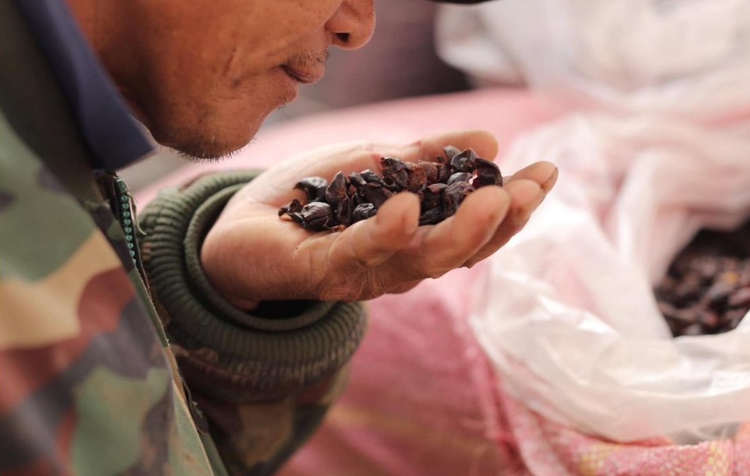 Chú Thọ, nông hộ cà phê Cầu Đất, trên tay là mẻ cà phê đã sơ chế, năm 2019