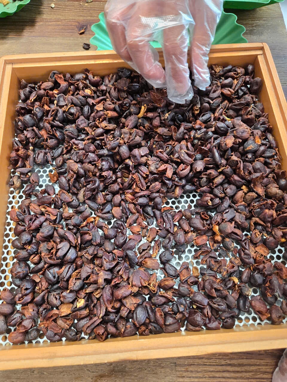 Dao cascara tren khay bao quan