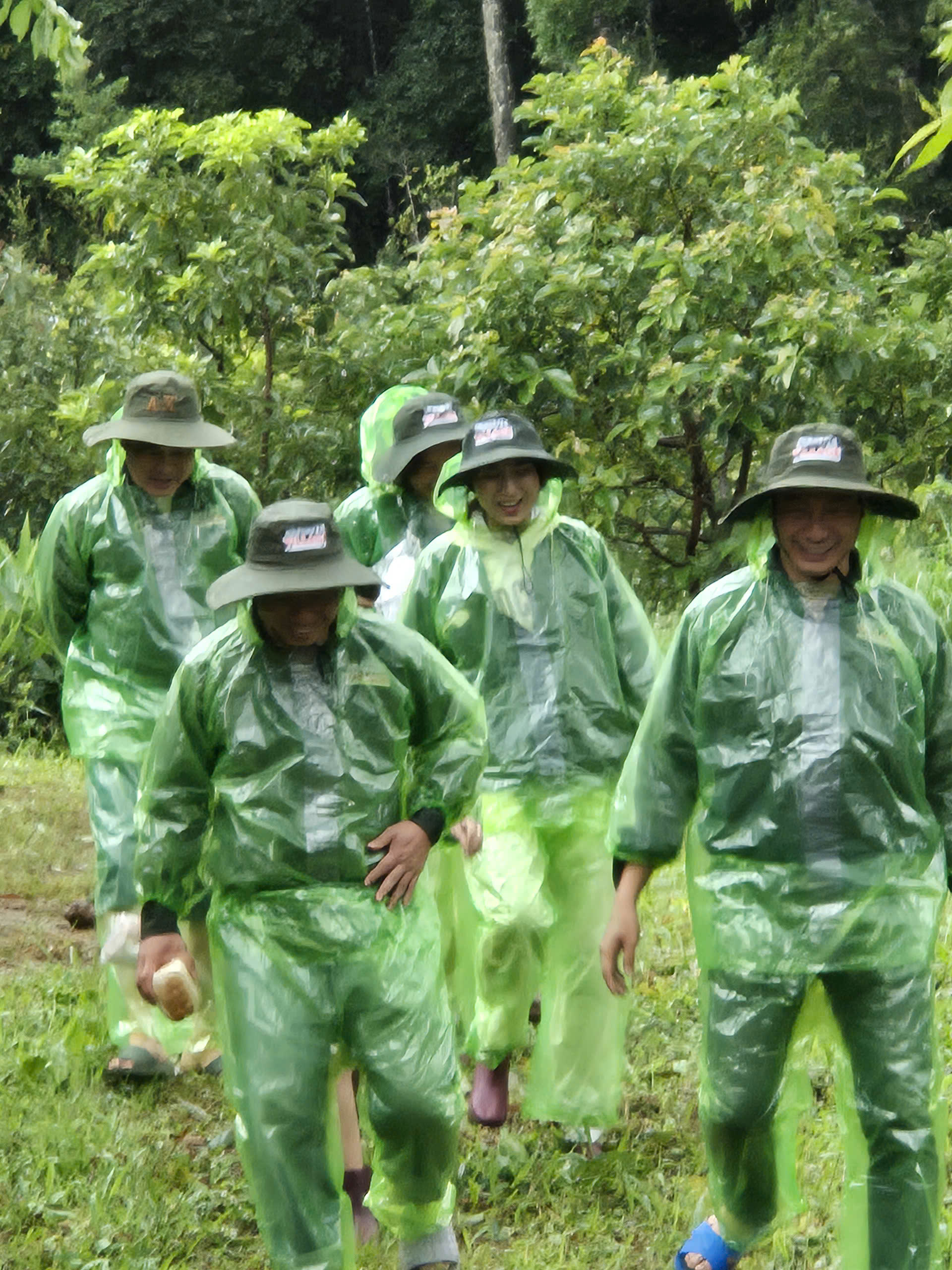 Khách đi giữa hàng cà phê trong tour trải nghiệm tại Măng Đen