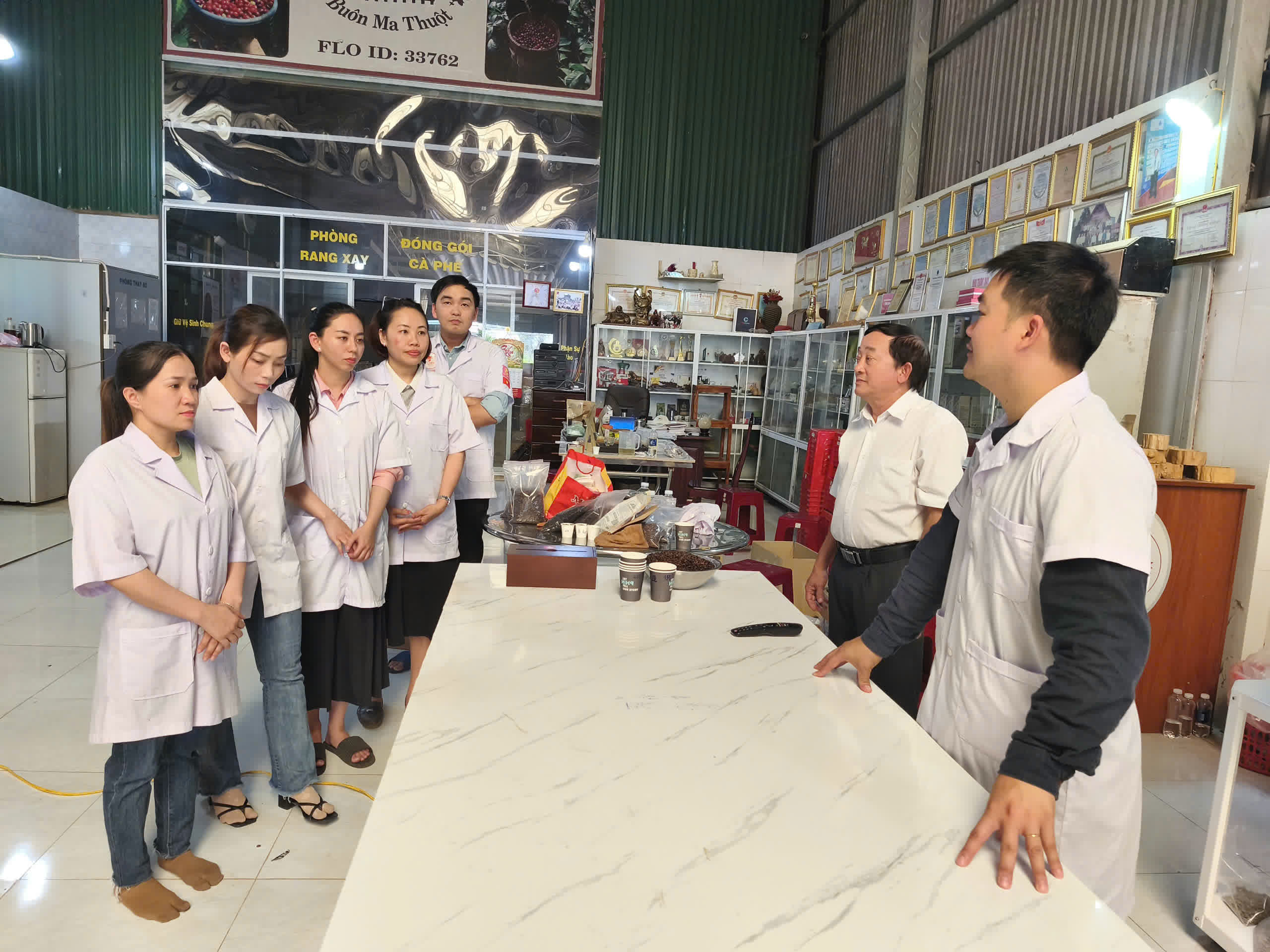 Kiểm tra mẻ cà phê vừa rang xong