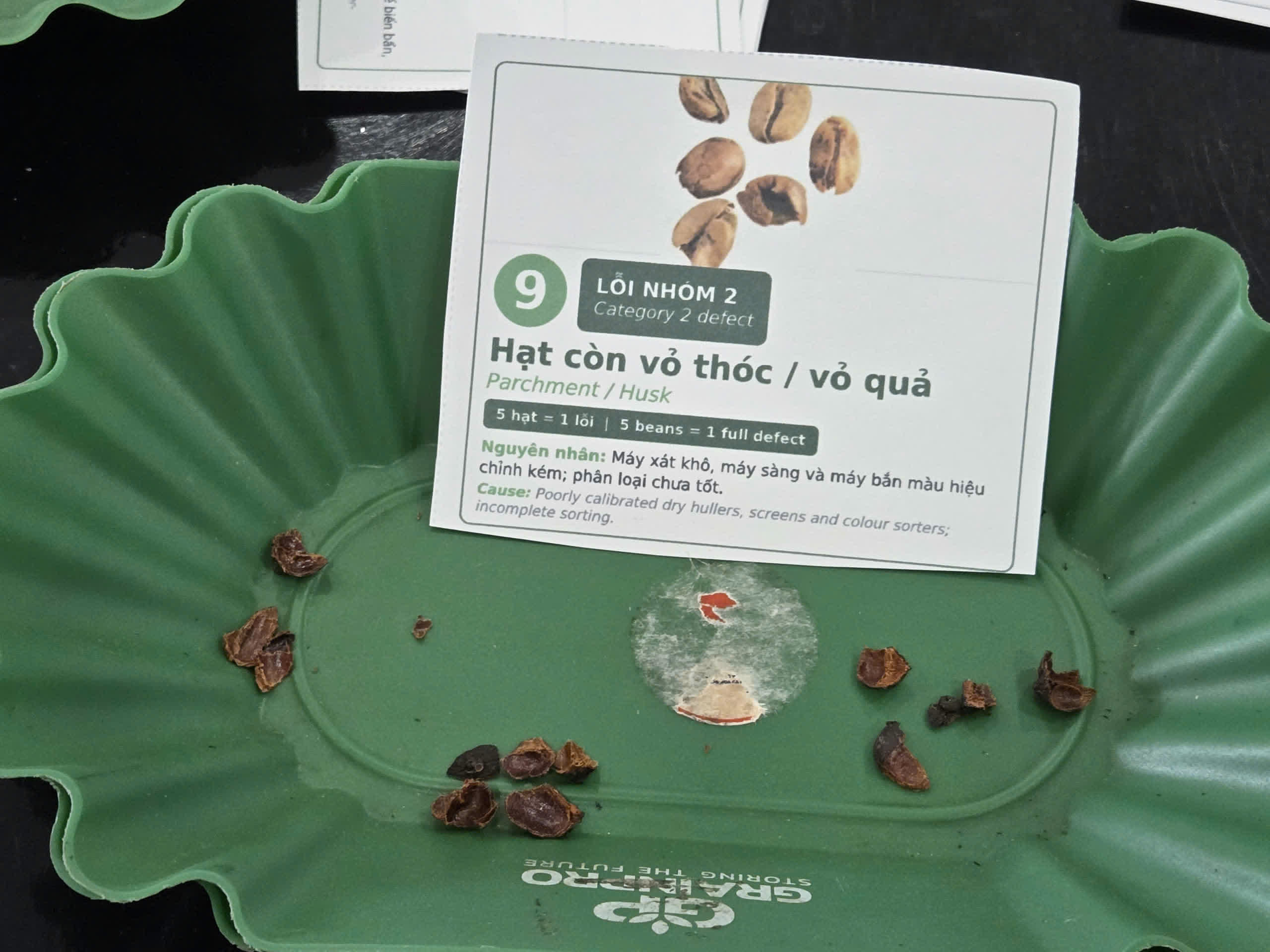 Thẻ lỗi nhân xanh Hạt còn vỏ thóc vỏ quả Parchment Husk thuộc lỗi nhóm 2
