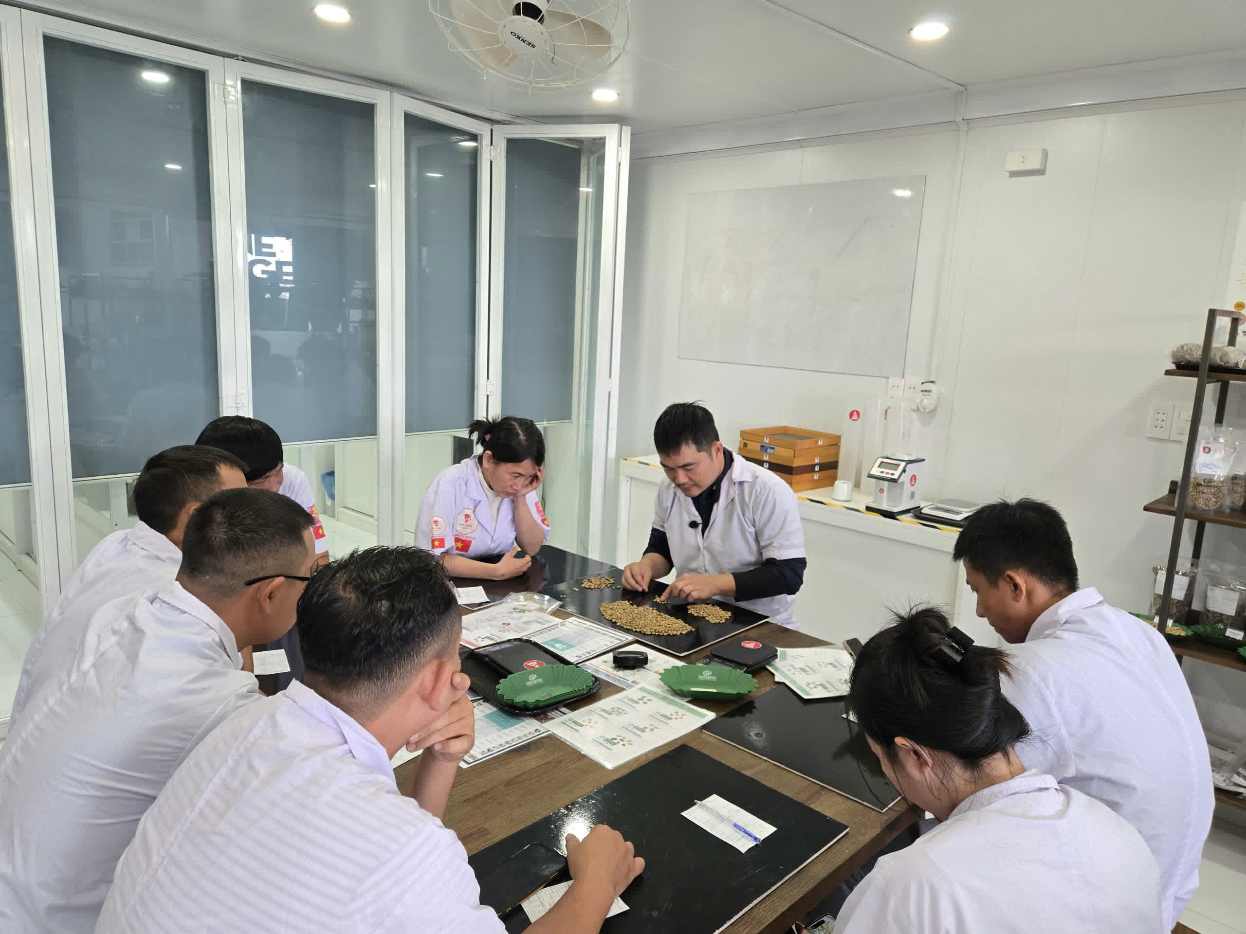 Học viên lớp SCA Green Bean nhặt lỗi nhân xanh trên khay