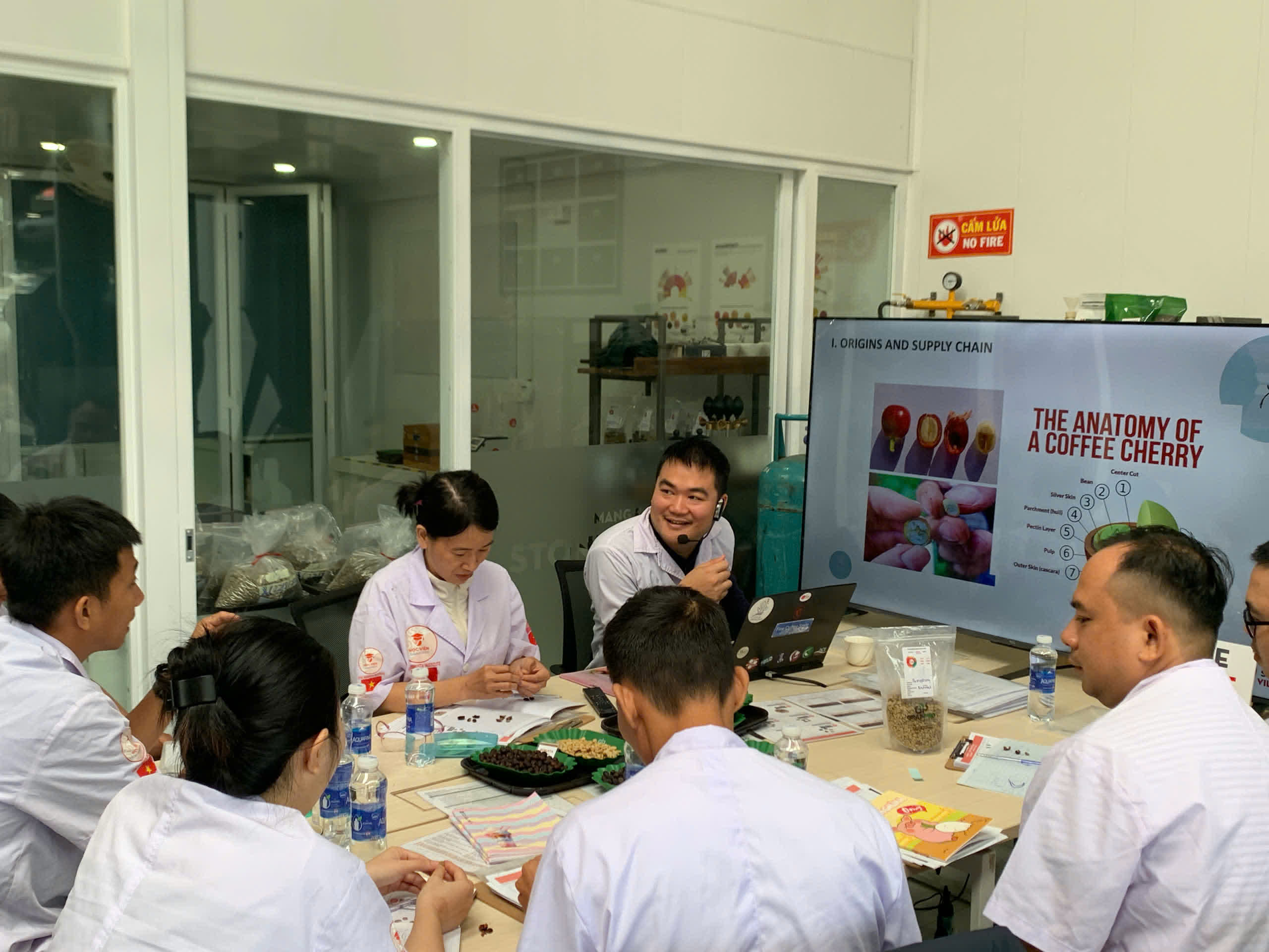 Slide giải phẫu quả cà phê trong lớp SCA Green Bean tại Măng Đen
