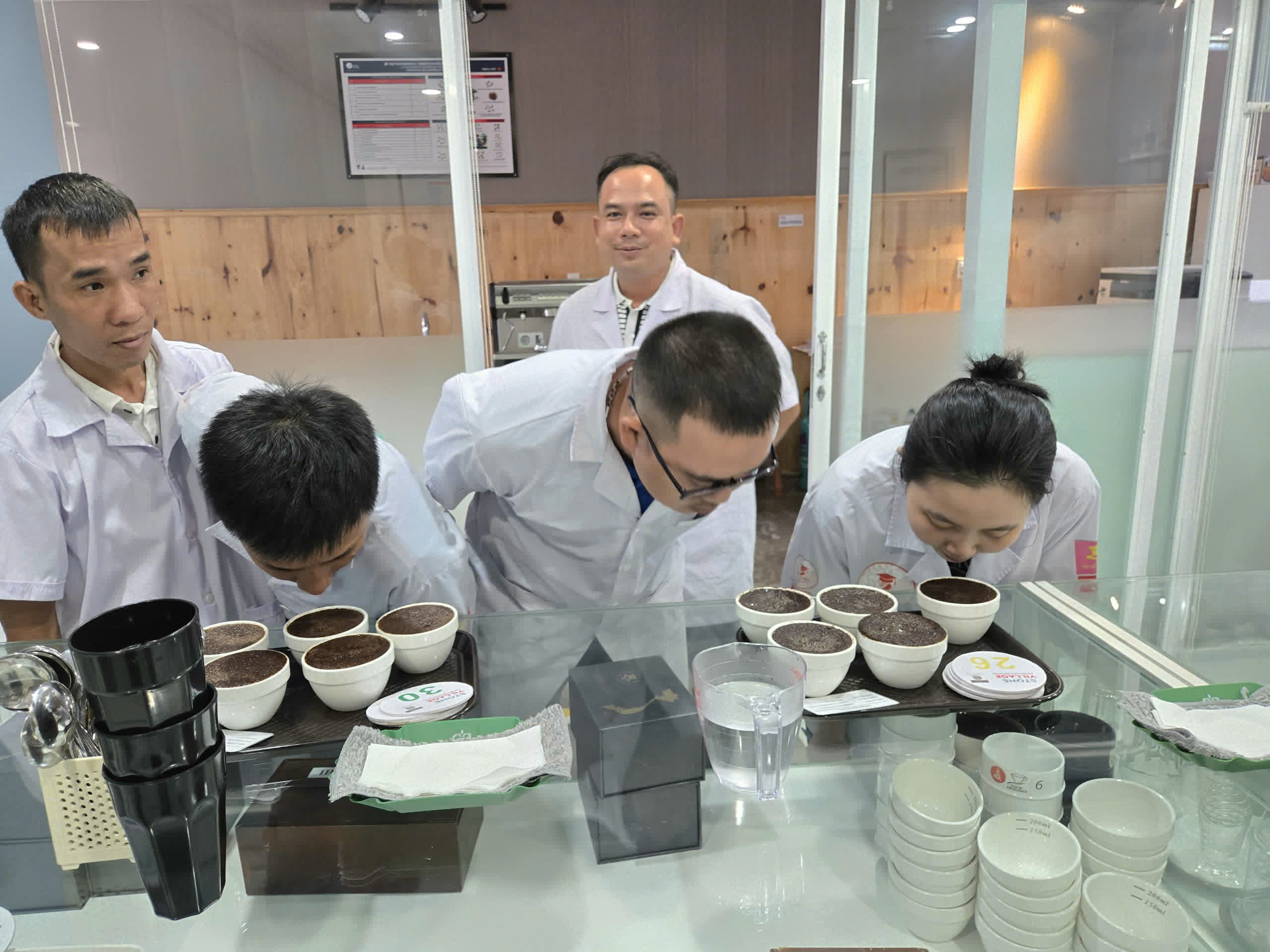 Học viên lớp SCA Green Bean thử nếm mẫu cà phê tại Lab Măng Đen