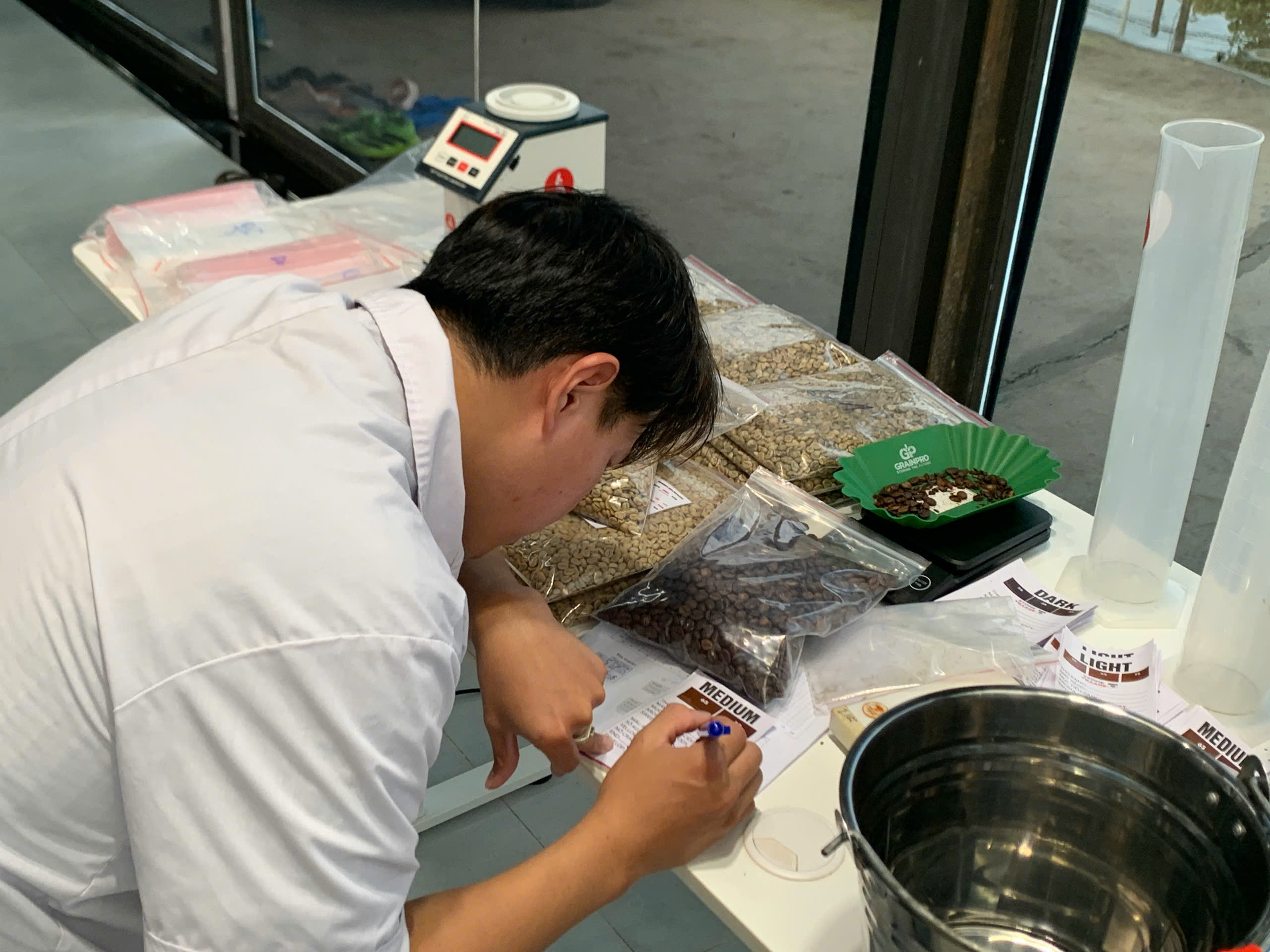 Bàn trải mẫu nhân xanh trong lớp SCA Roasting tại Gia Lai