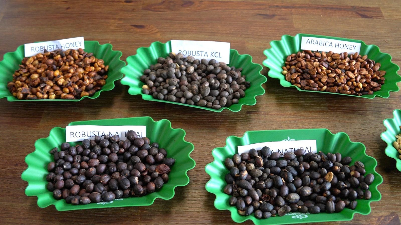 Mau ca phe Robusta va Arabica so che Honey, Natural, KCL tai Mang Den