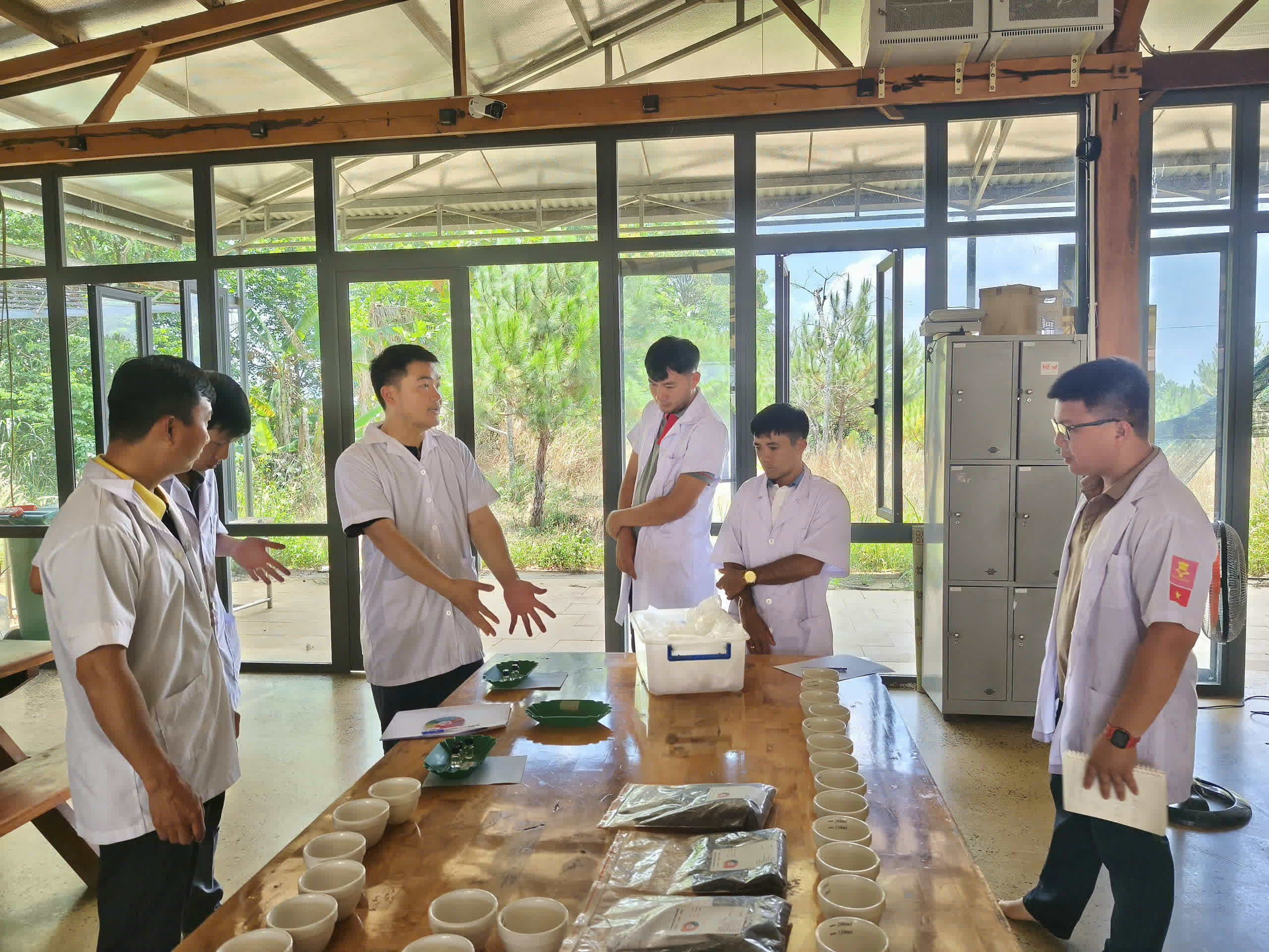 Dãy chén cupping xếp trên bàn dài chuẩn bị cho buổi thử nếm