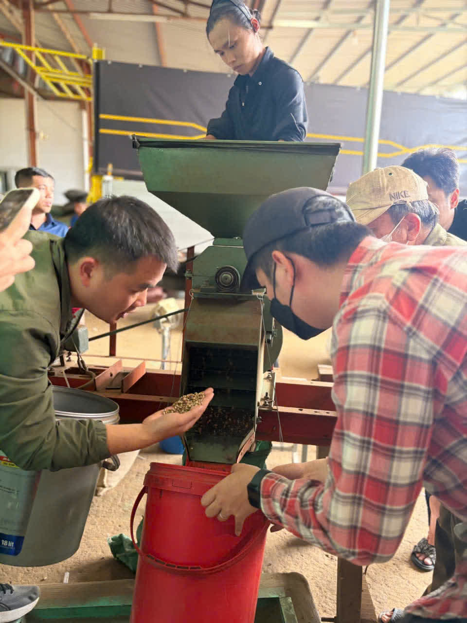 Xát vỏ cà phê tại farm Tamba trong hoạt động chế biến