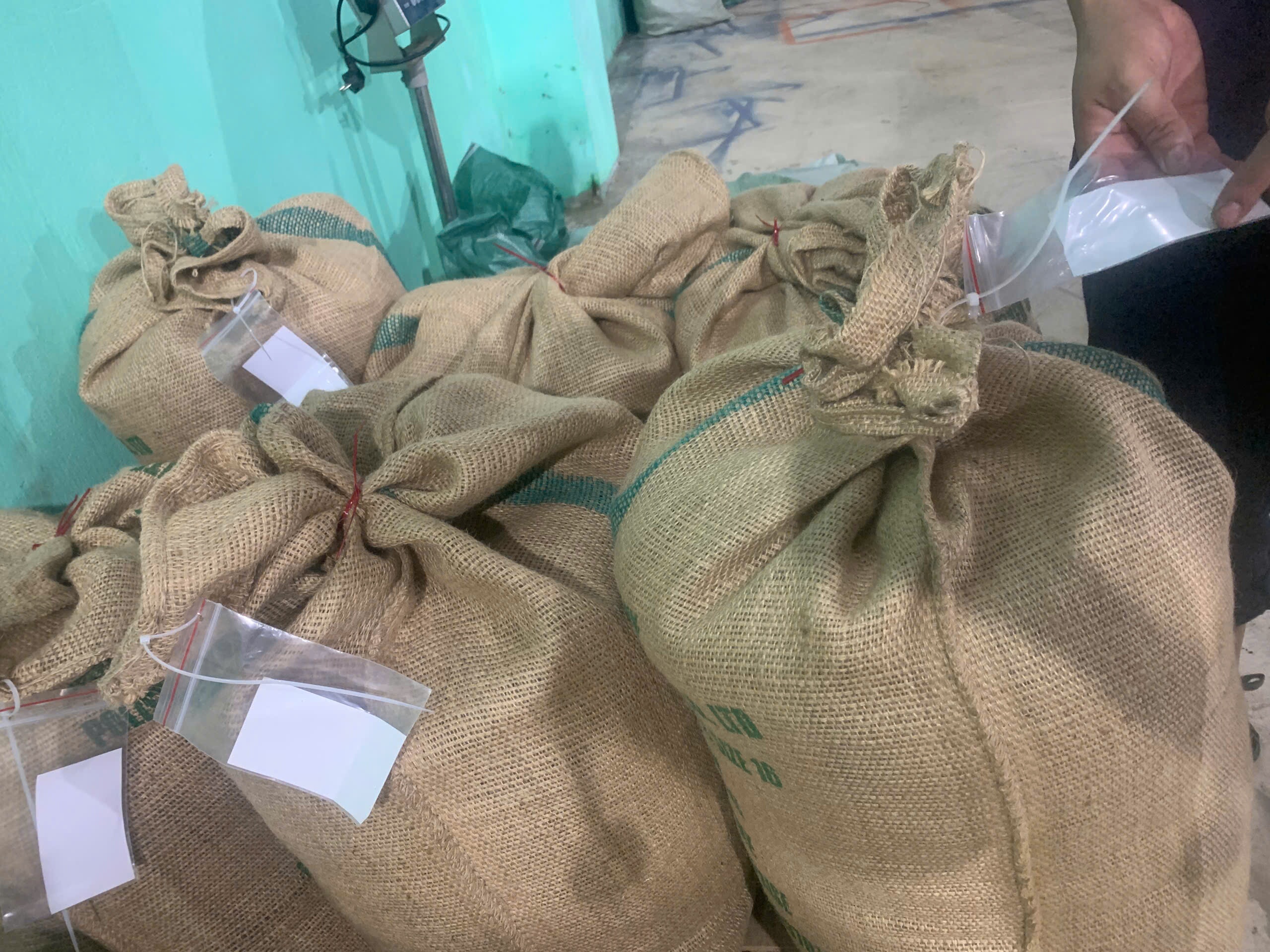 Tui zip dan nhan lo buoc tren mieng bao ca phe nhan xanh