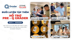 Buổi luyện tập thêm hỗ trợ Pre Q Grader ngày 2, 30/09/2026, tại Stone Village Lab TP.HCM