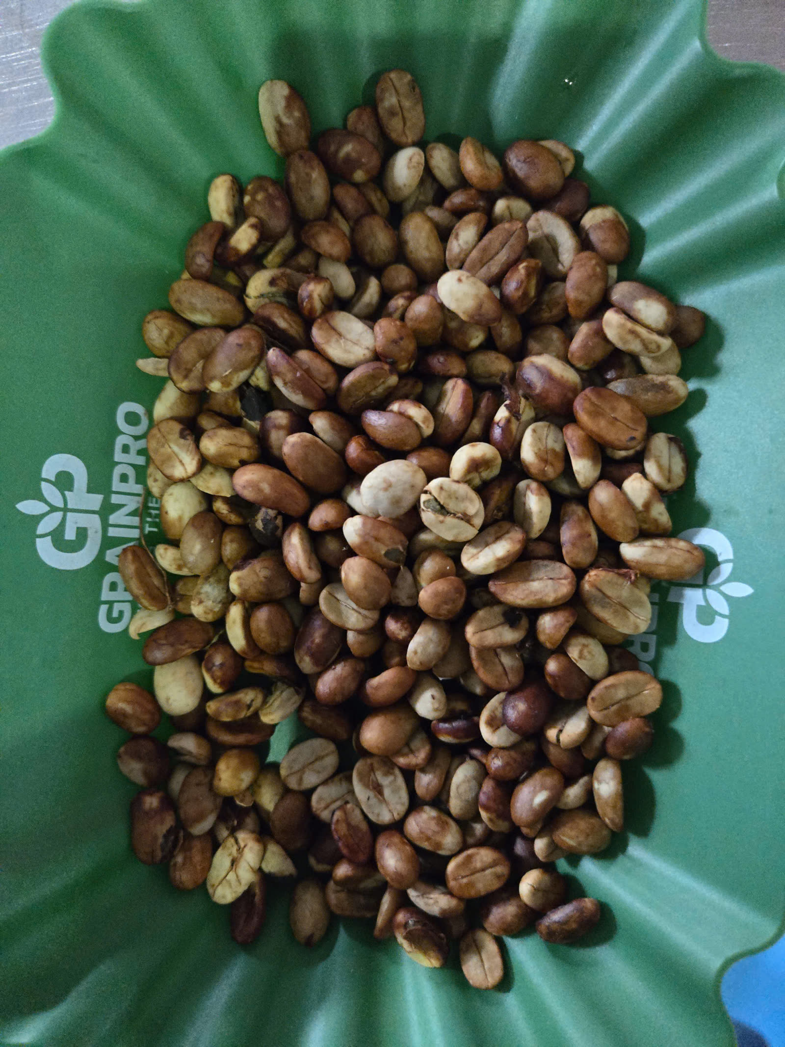 Mẫu hạt cà phê sau chế biến khô trên khay đánh giá
