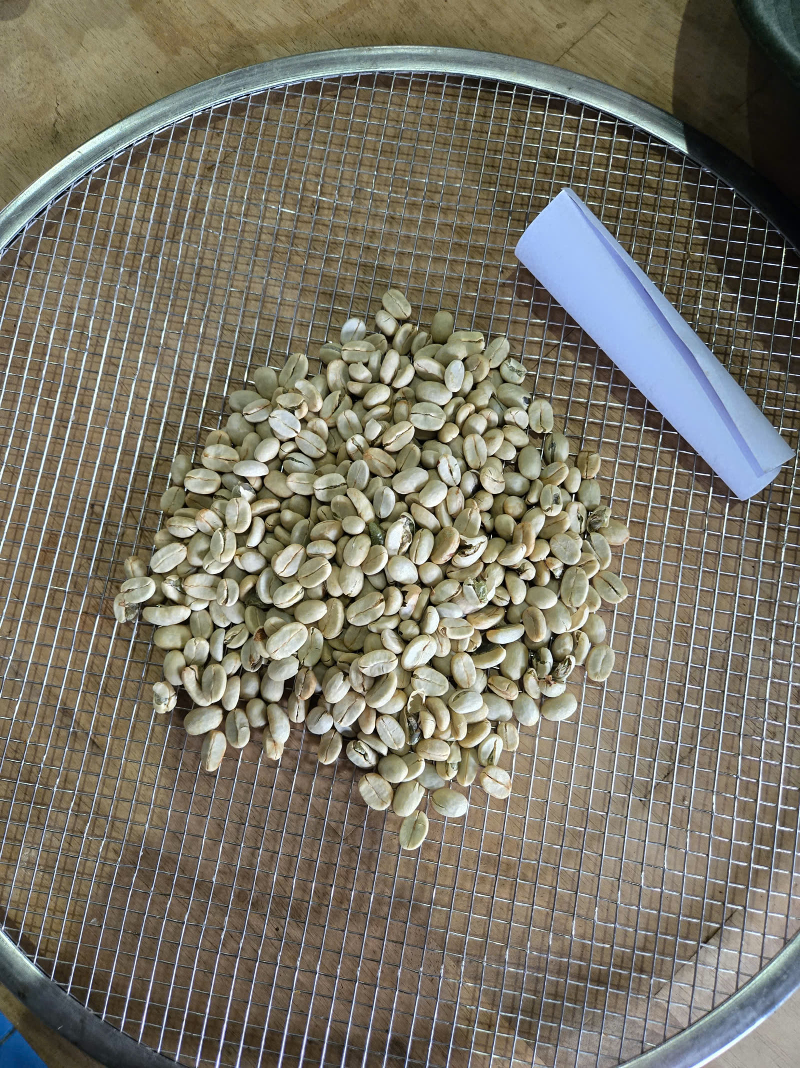 Nhân xanh cà phê trên sàng phân cỡ hạt