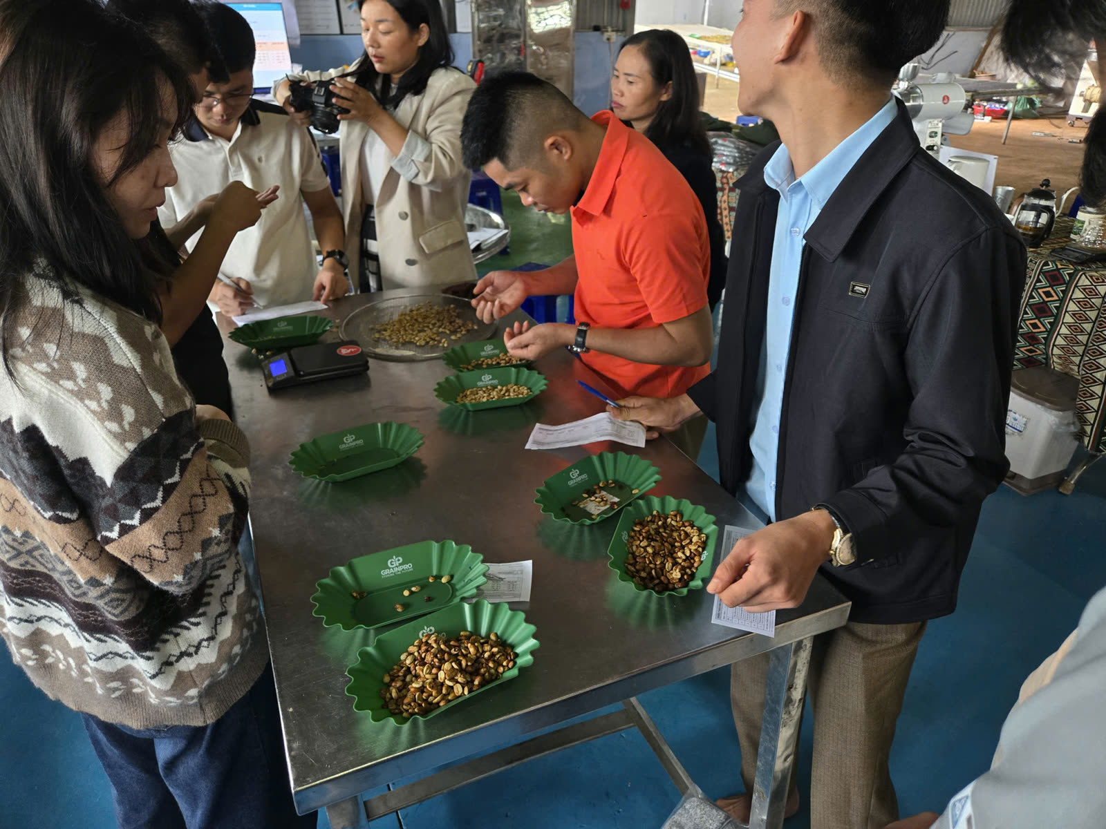 Đối chiếu mẫu hạt cà phê trên bàn thép cùng phiếu ghi