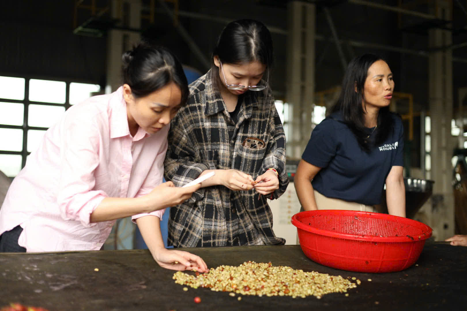 Ba học viên chọn hạt trên bàn thực hành trong lớp chế biến