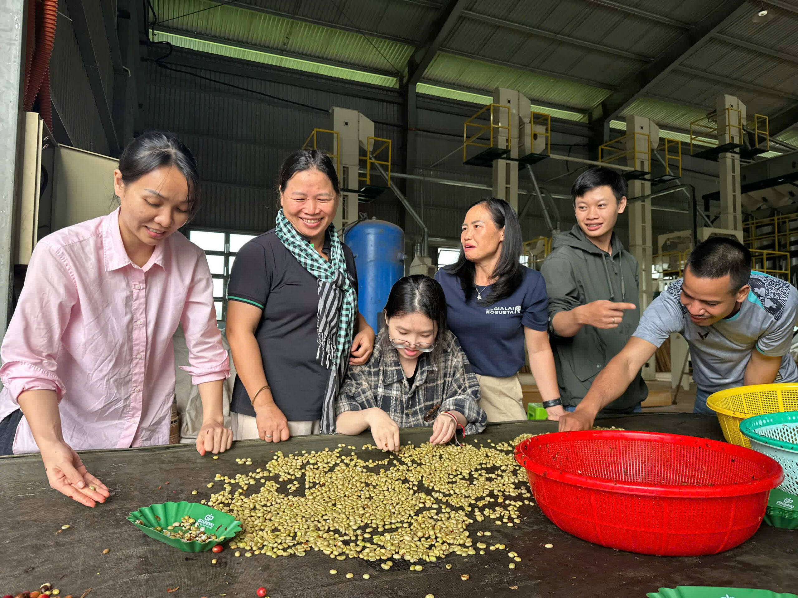 Học viên đứng quanh bàn phân loại mẫu nhân xanh trong xưởng chế biến