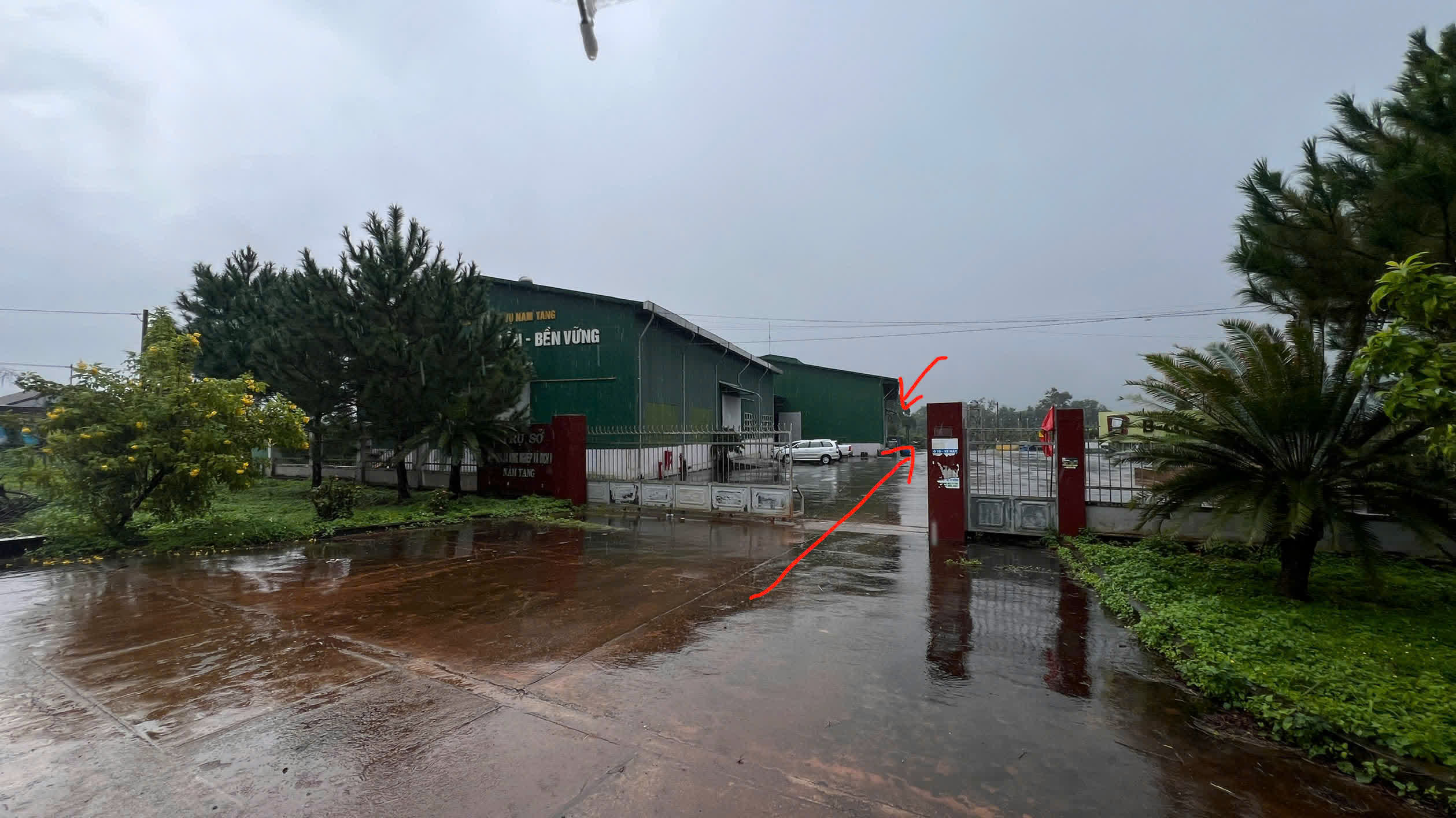 Ngày 1, thứ Sáu 04/09/2026 của khóa Processing và SCA Green Coffee tại HTX Nam Yang, Gia Lai