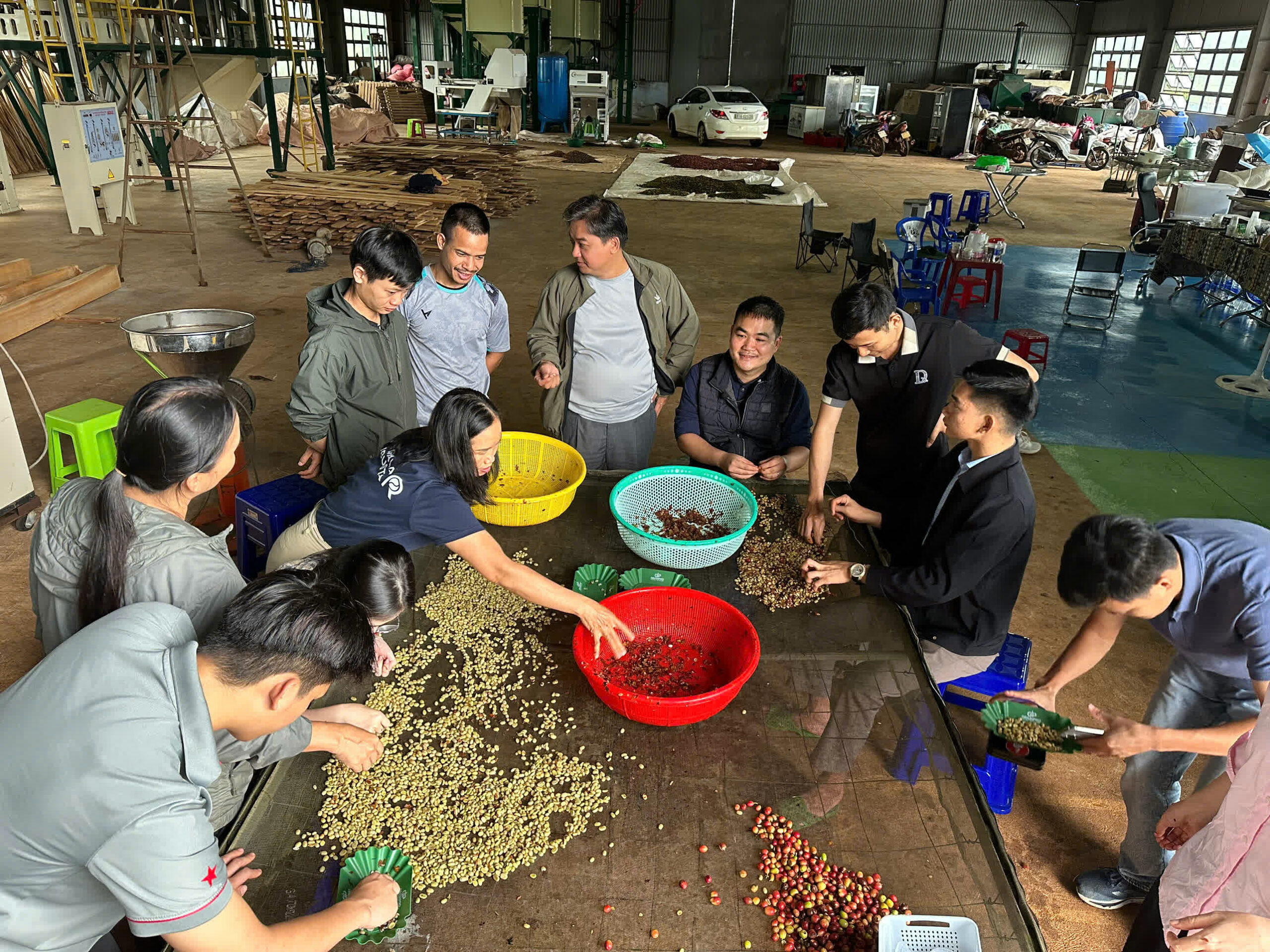 Ngày 1, thứ Sáu 04/09/2026 của khóa Processing và SCA Green Coffee tại HTX Nam Yang, Gia Lai