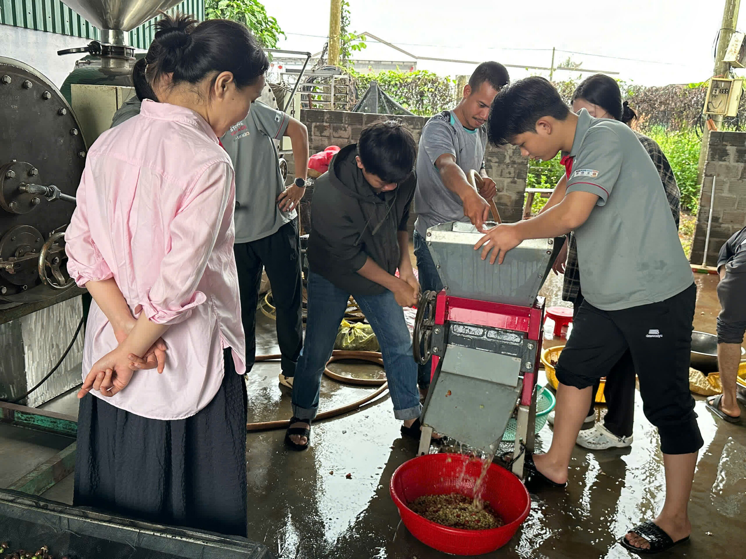 Ngày 1, thứ Sáu 04/09/2026 của khóa Processing và SCA Green Coffee tại HTX Nam Yang, Gia Lai