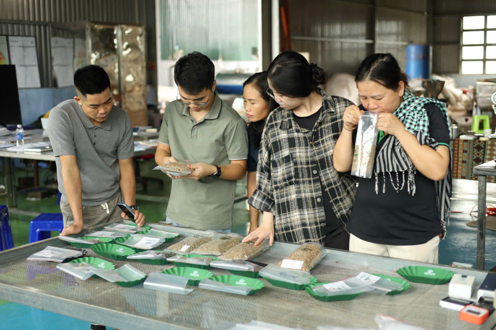 Ngày 2, thứ Bảy 05/09/2026 của khóa Processing và SCA Green Coffee tại HTX Nam Yang, Gia Lai
