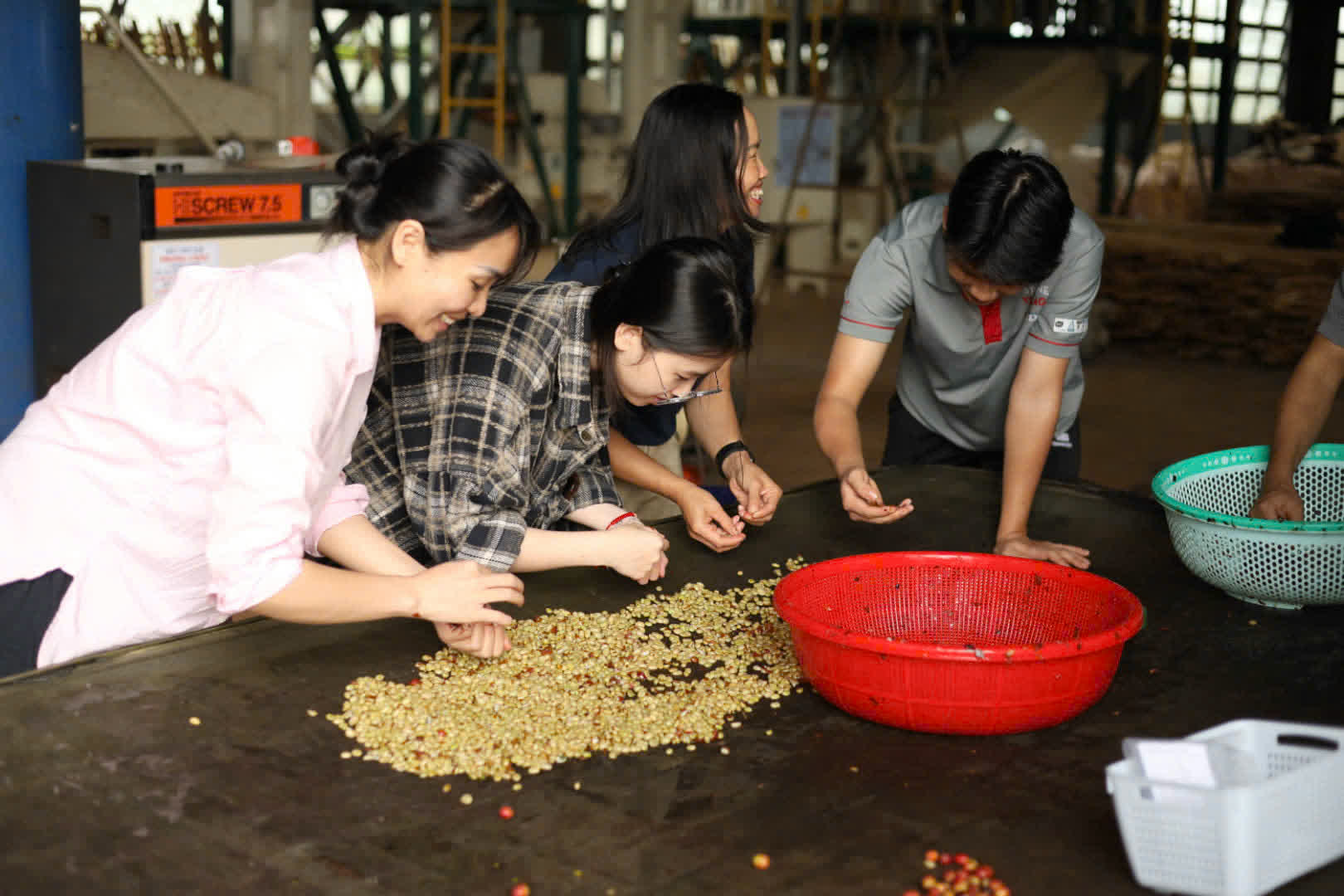 Ngày 2, thứ Bảy 05/09/2026 của khóa Processing và SCA Green Coffee tại HTX Nam Yang, Gia Lai