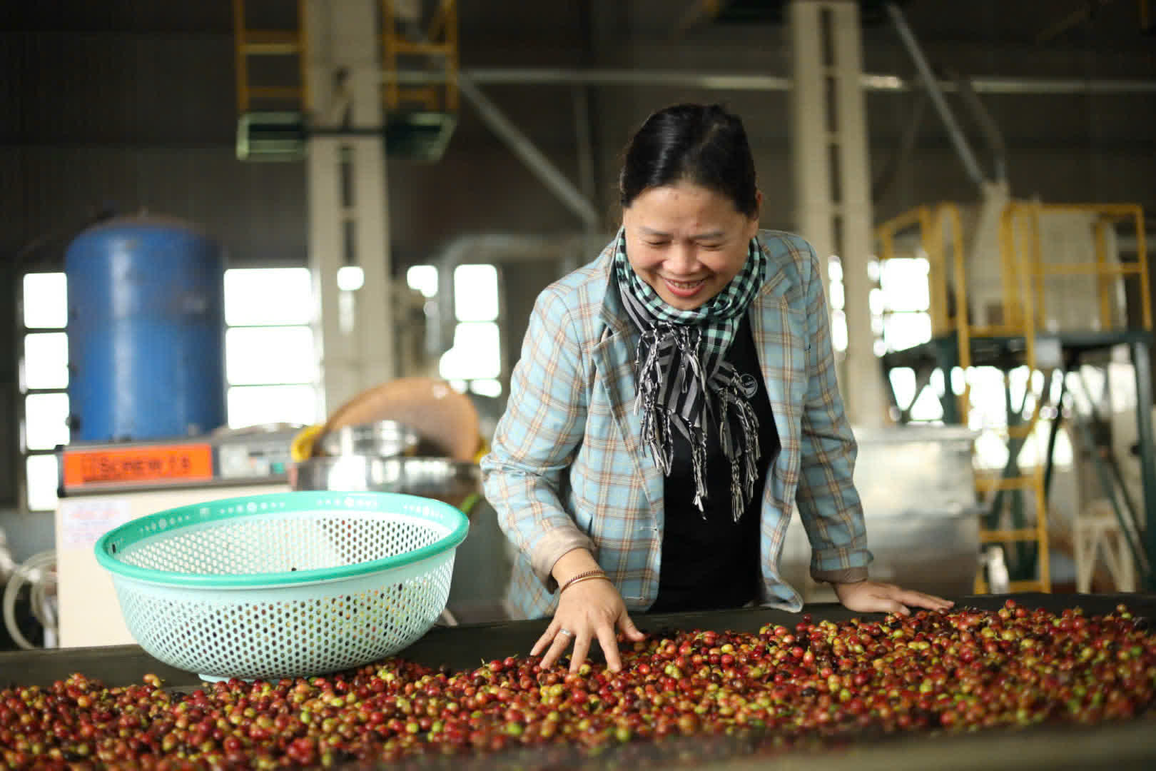 Ngày 2, thứ Bảy 05/09/2026 của khóa Processing và SCA Green Coffee tại HTX Nam Yang, Gia Lai