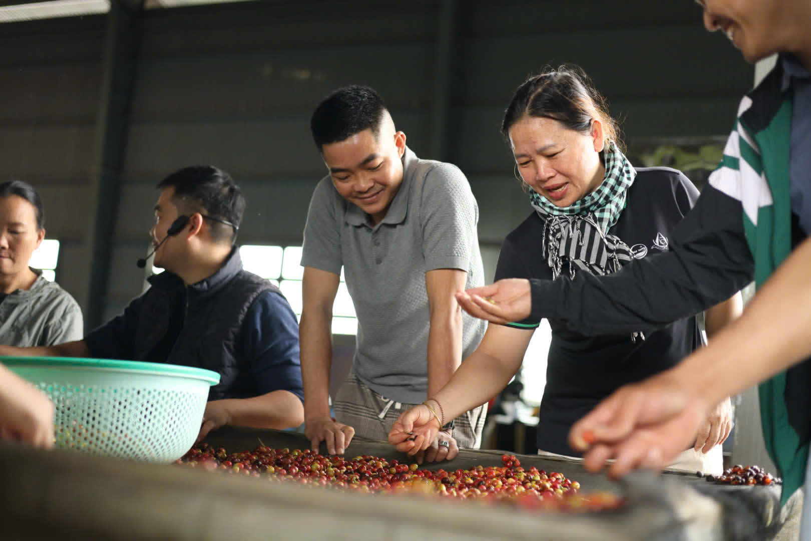 Ngày 2, thứ Bảy 05/09/2026 của khóa Processing và SCA Green Coffee tại HTX Nam Yang, Gia Lai