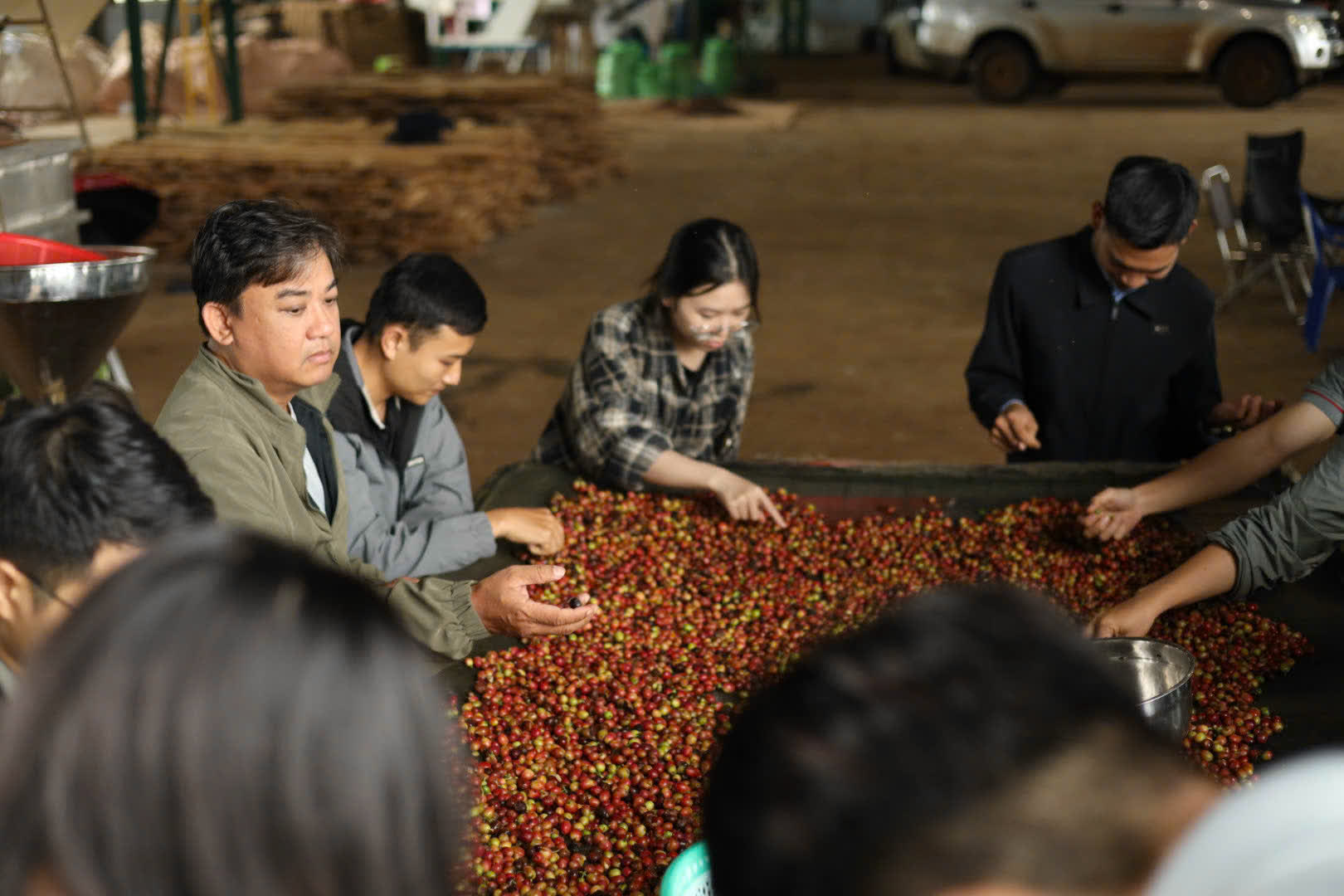 Ngày 2, thứ Bảy 05/09/2026 của khóa Processing và SCA Green Coffee tại HTX Nam Yang, Gia Lai