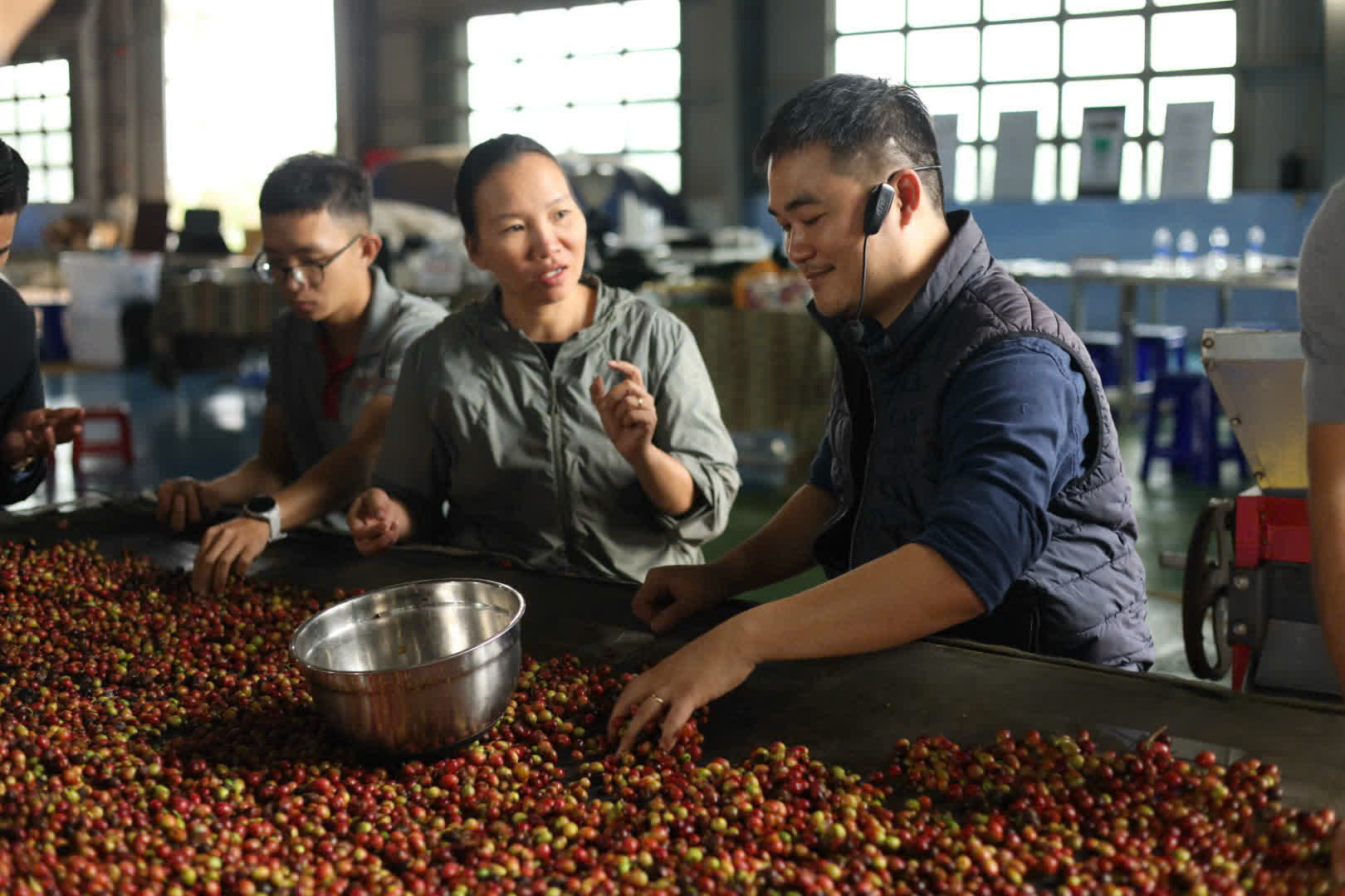 Ngày 2, thứ Bảy 05/09/2026 của khóa Processing và SCA Green Coffee tại HTX Nam Yang, Gia Lai