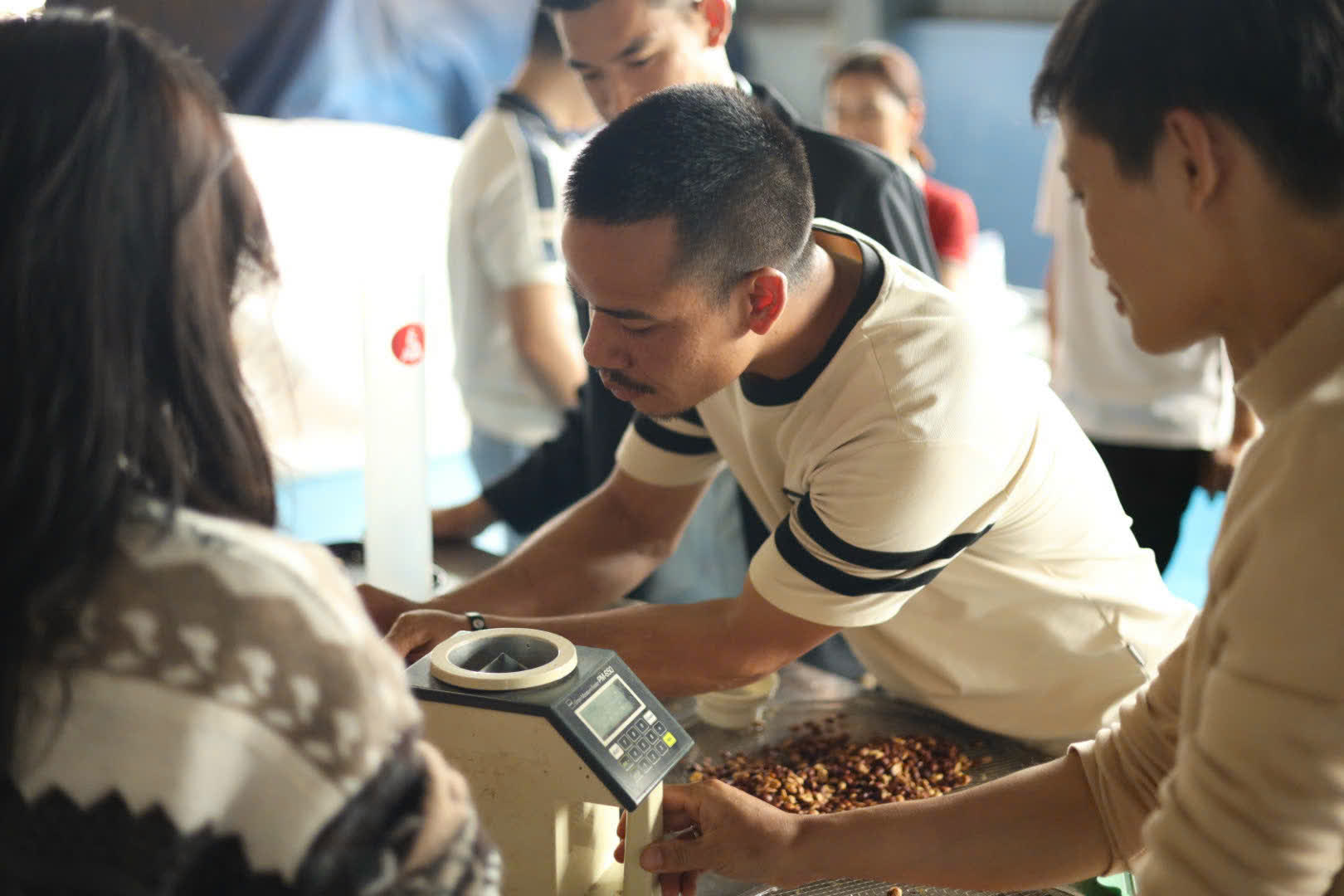 Ngày 2, thứ Bảy 05/09/2026 của khóa Processing và SCA Green Coffee tại HTX Nam Yang, Gia Lai
