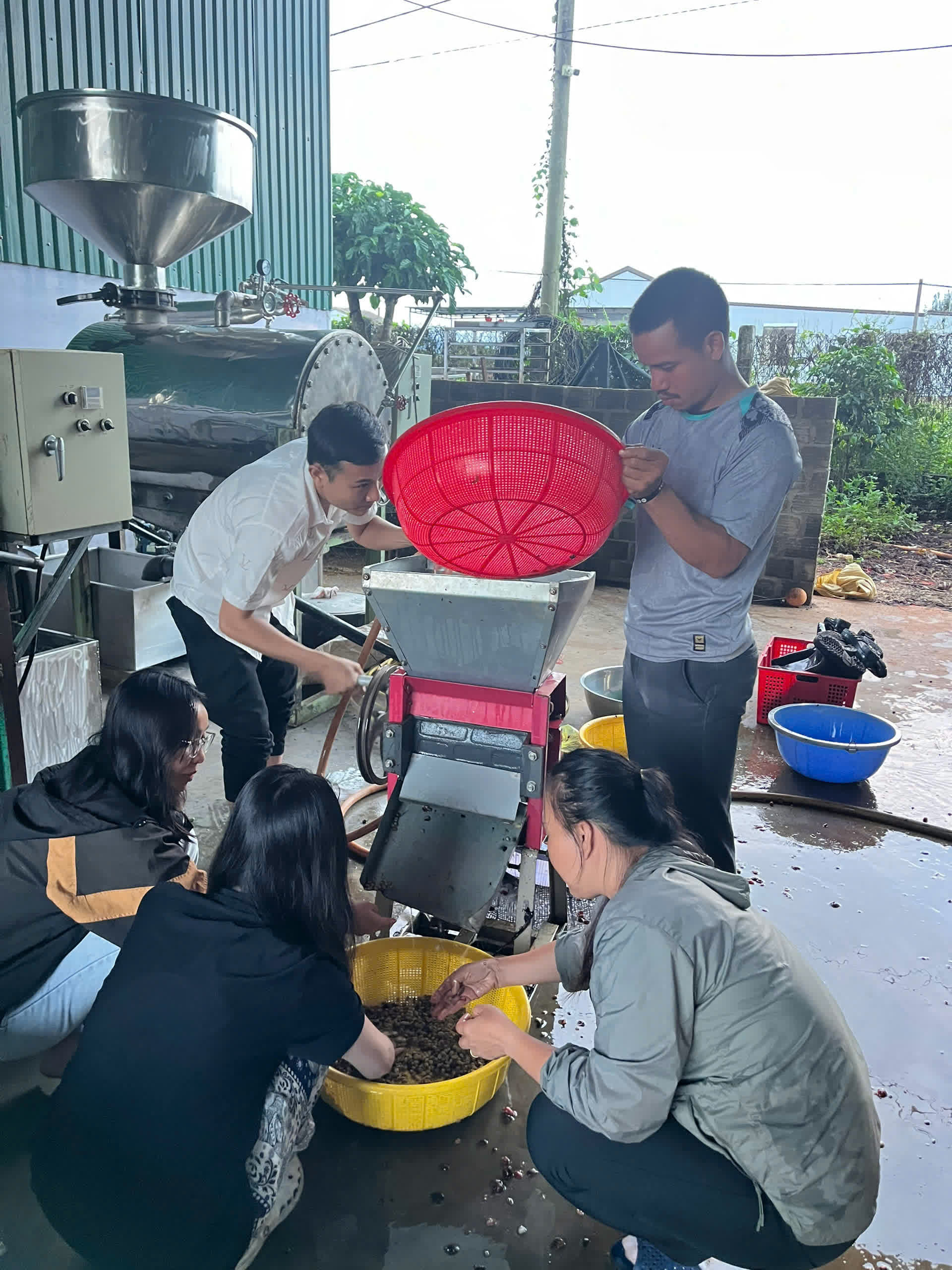 Ngày 3, Chủ nhật 06/09/2026 của khóa Processing và SCA Green Coffee tại HTX Nam Yang, Gia Lai