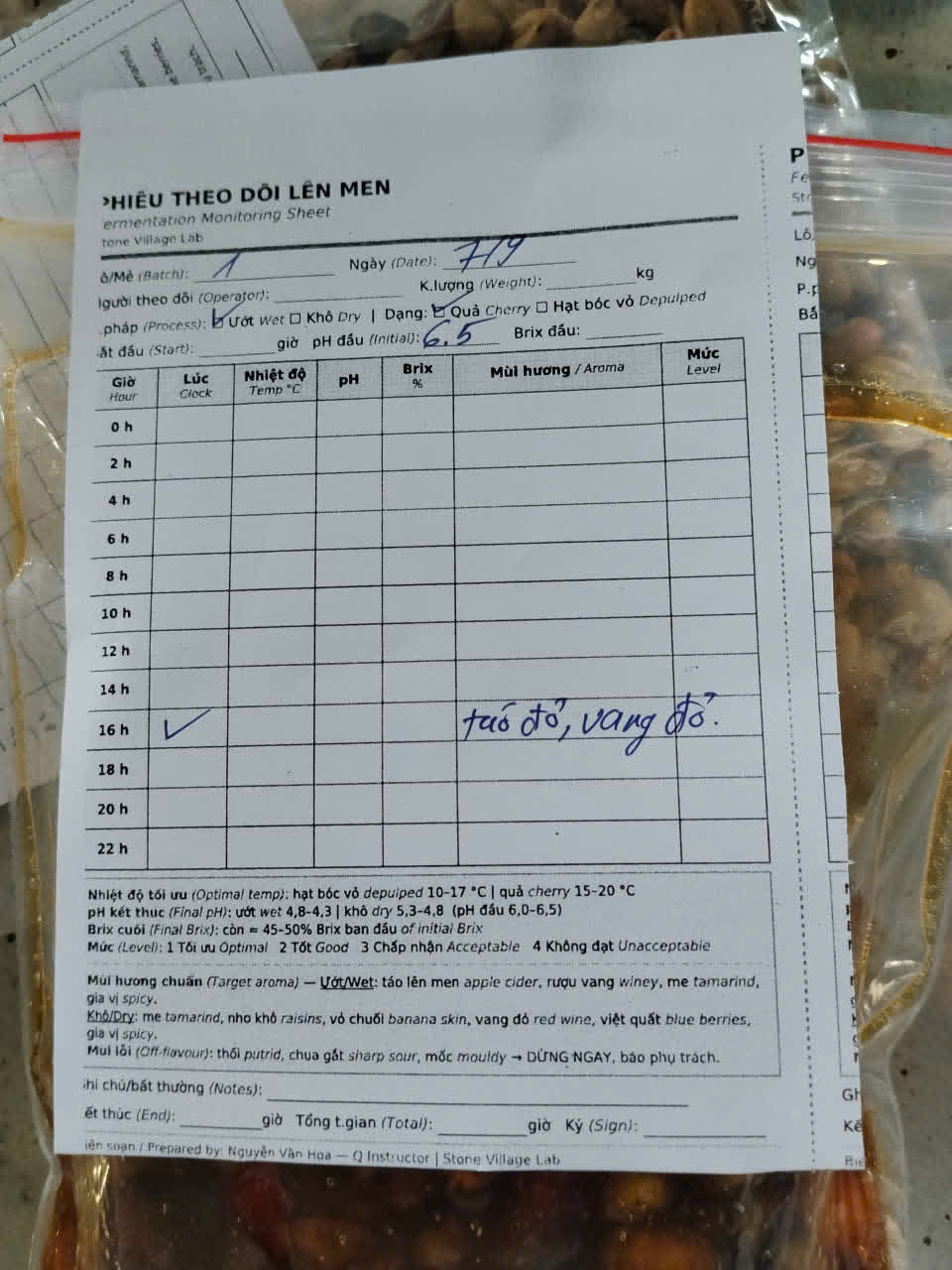 Ngày 4, thứ Hai 07/09/2026 của khóa Processing và SCA Green Coffee tại HTX Nam Yang, Gia Lai