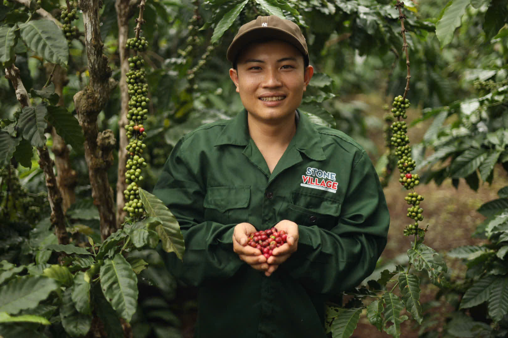 Ngày 4, thứ Hai 07/09/2026 của khóa Processing và SCA Green Coffee tại HTX Nam Yang, Gia Lai