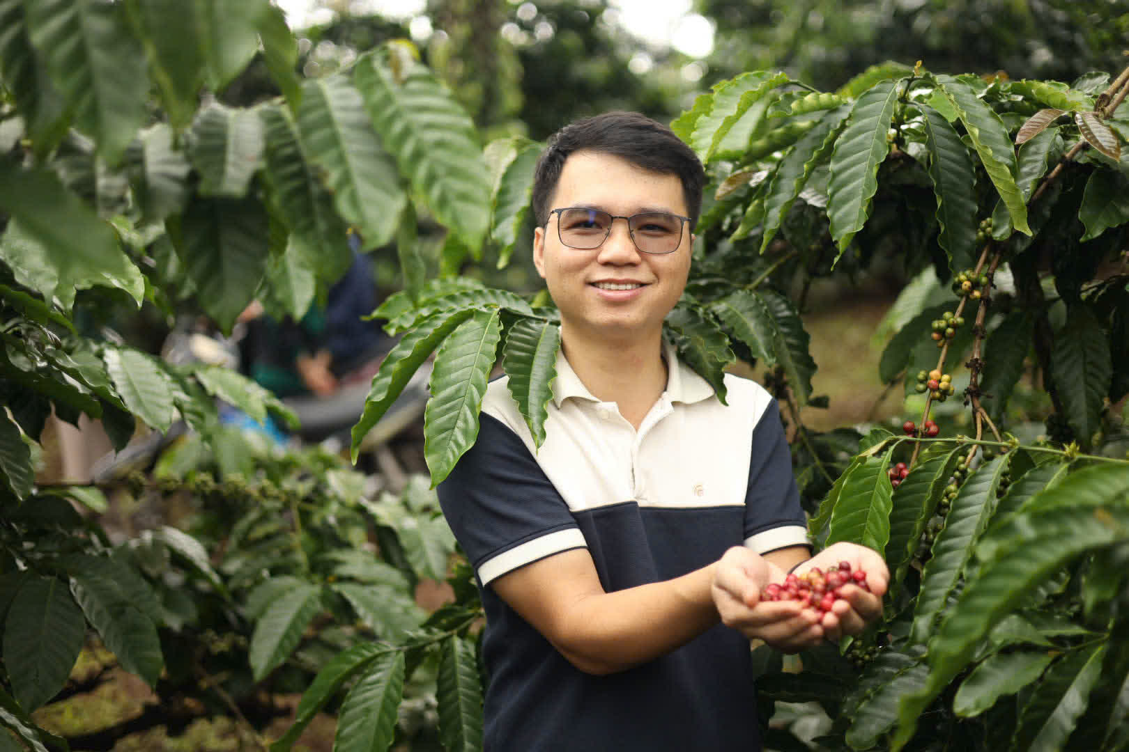 Ngày 4, thứ Hai 07/09/2026 của khóa Processing và SCA Green Coffee tại HTX Nam Yang, Gia Lai